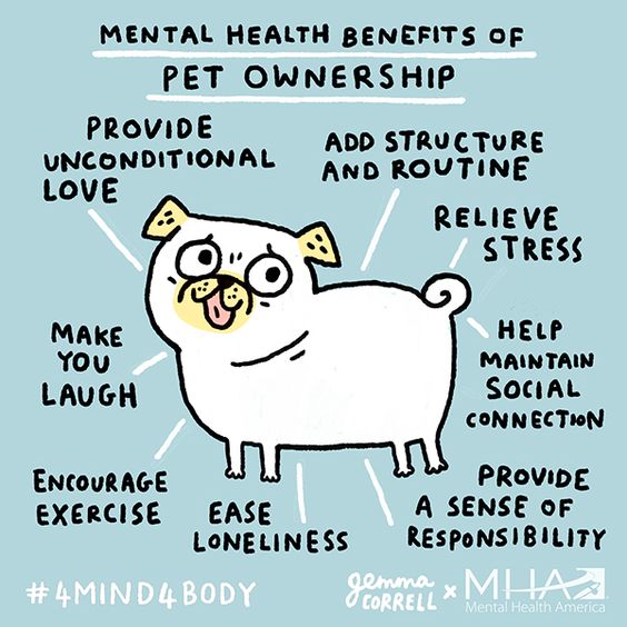 Mental Health Benefits Of Pet Ownership r/SelfCareCharts