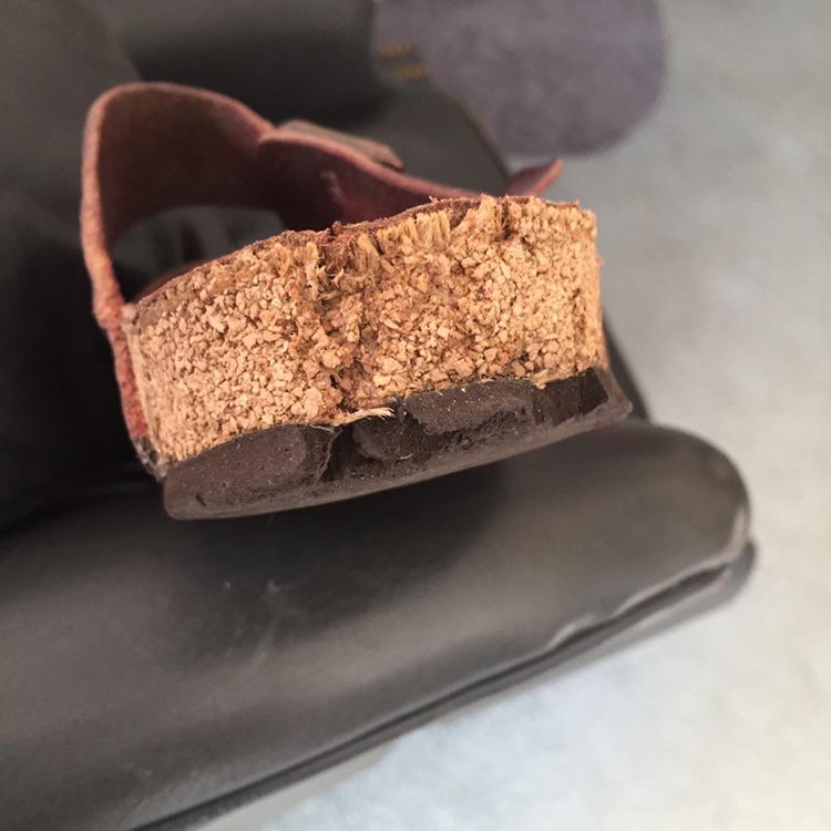 Dog Chewed r/Birkenstocks