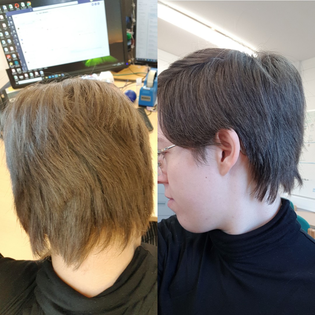 48 Hilarious Mullet Jokes And Puns Punstoppable 🛑