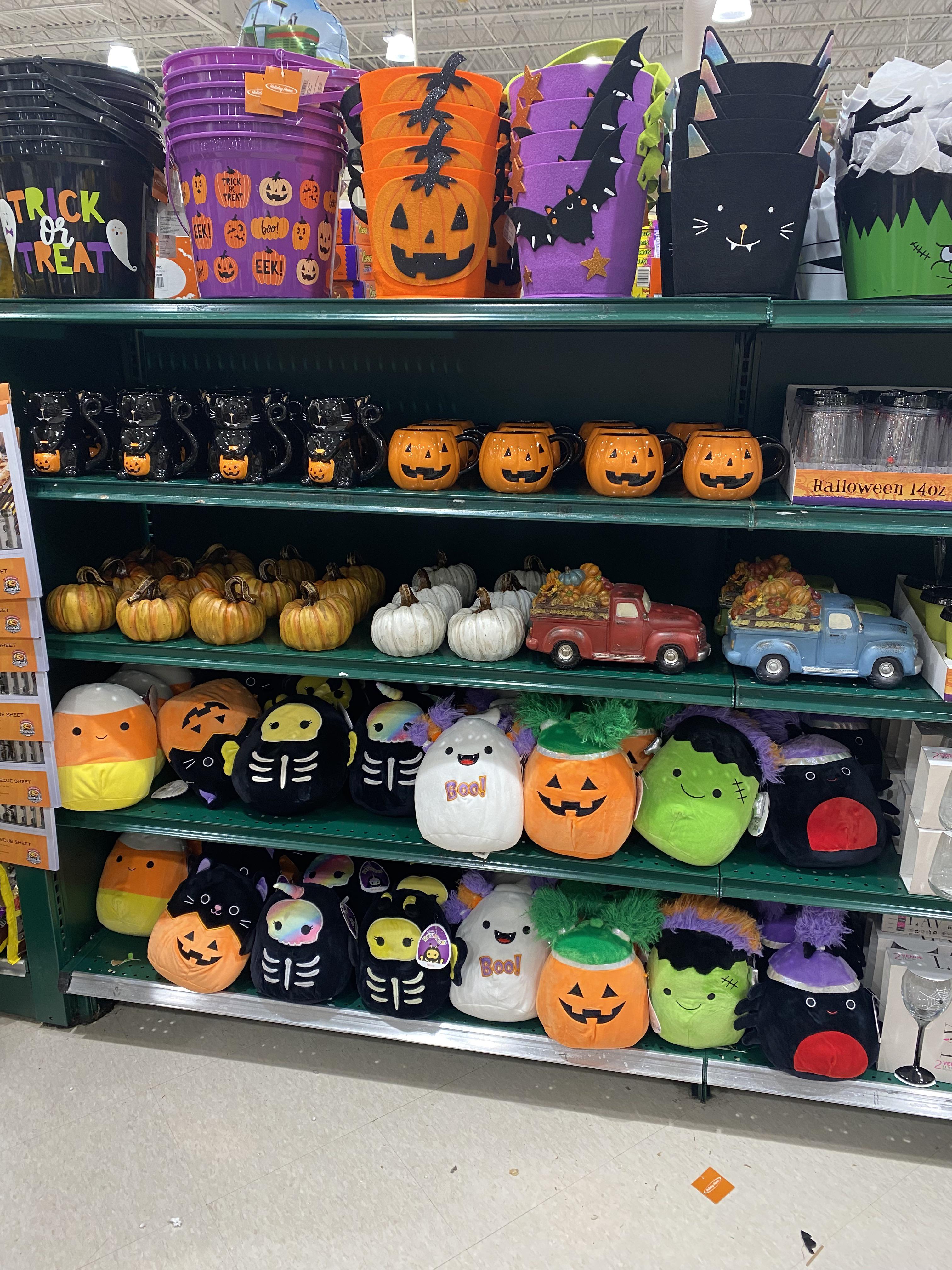 FINALLY! Harris Teeter Tryon Village in Cary, NC r/squishmallow