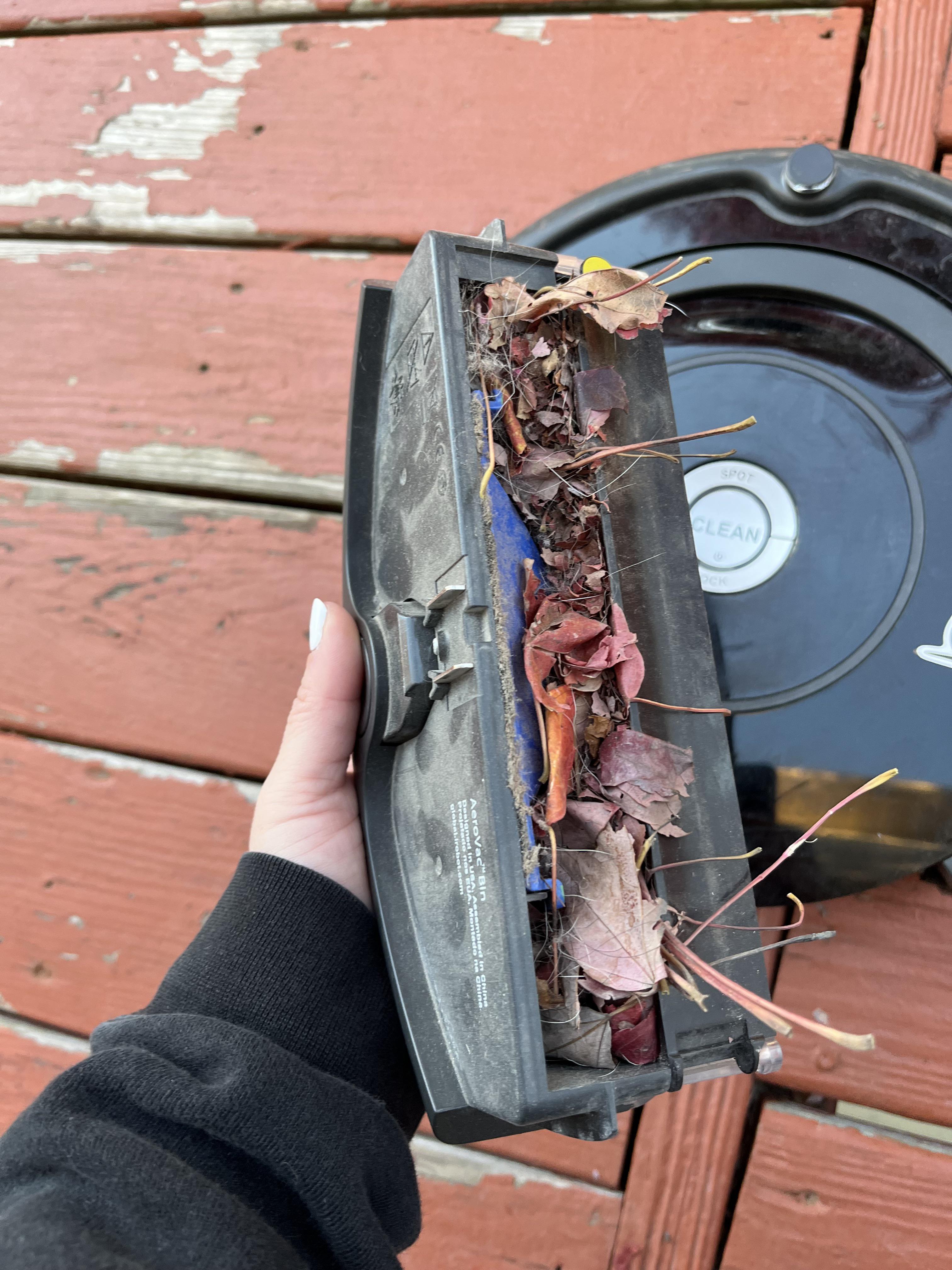 The roomba escaped to the deck and it swept up the fallen leaves r