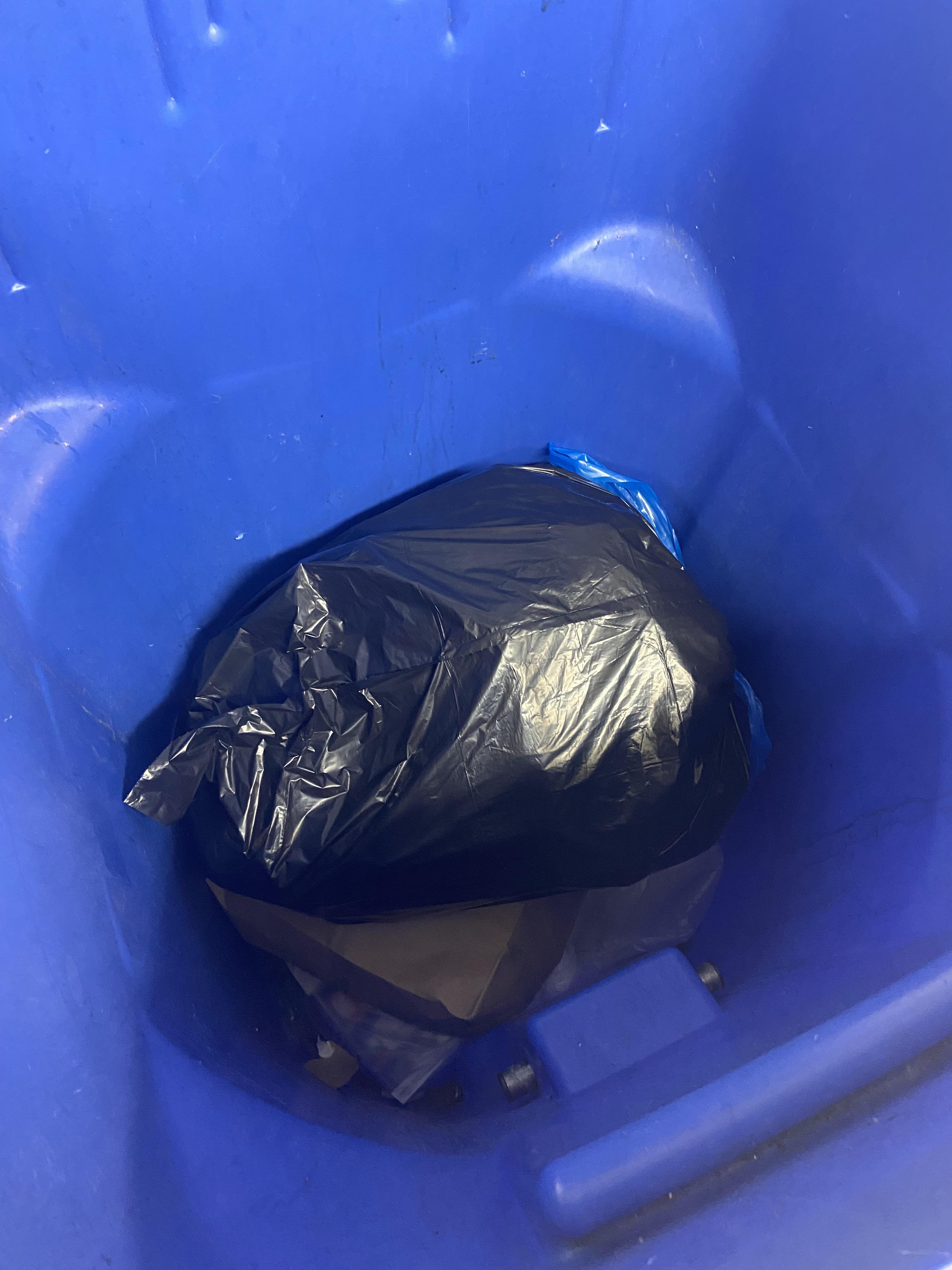 People who repeatedly “recycle” plastic trash bags full of recyclables