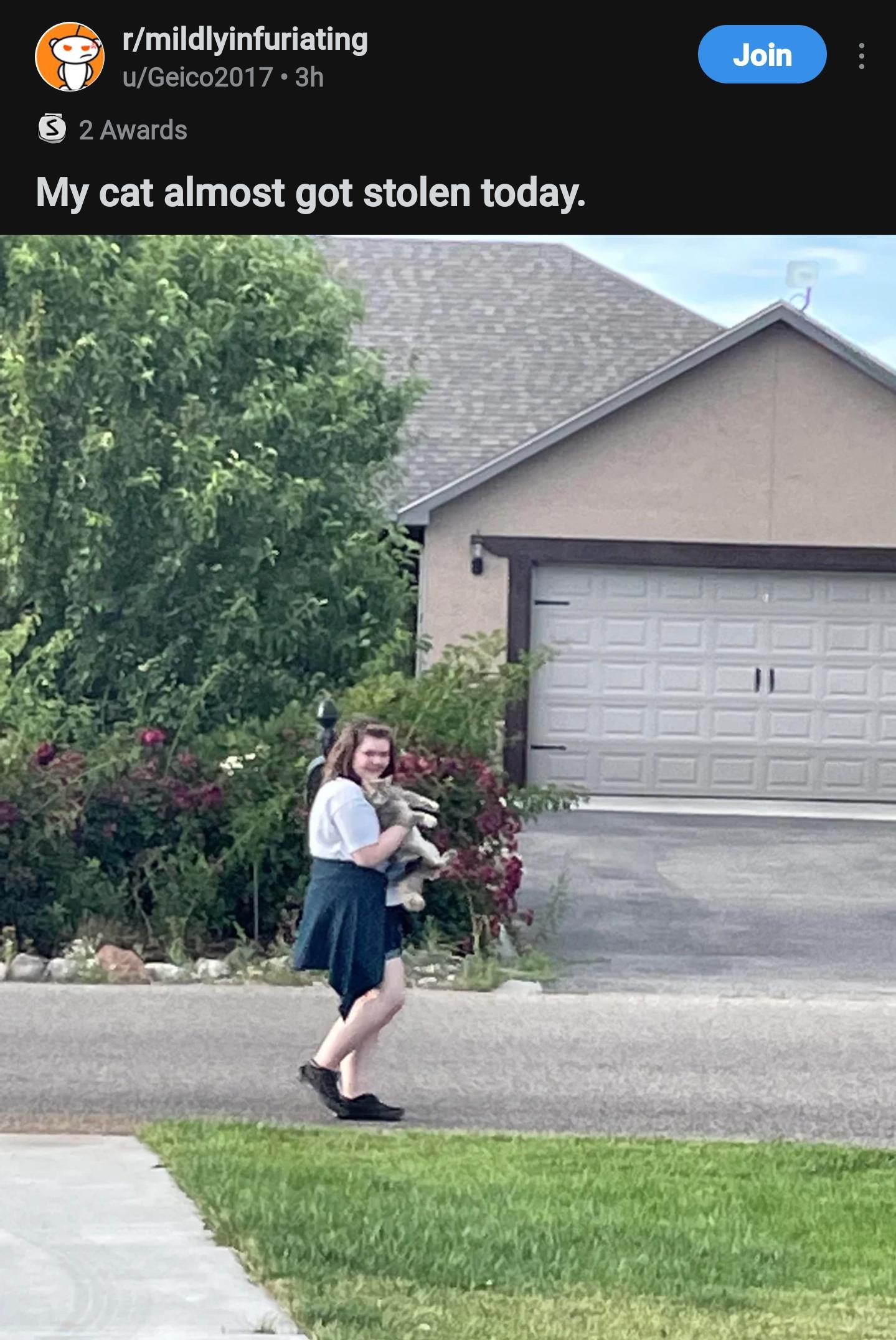 To steal their cat. therewasanattempt