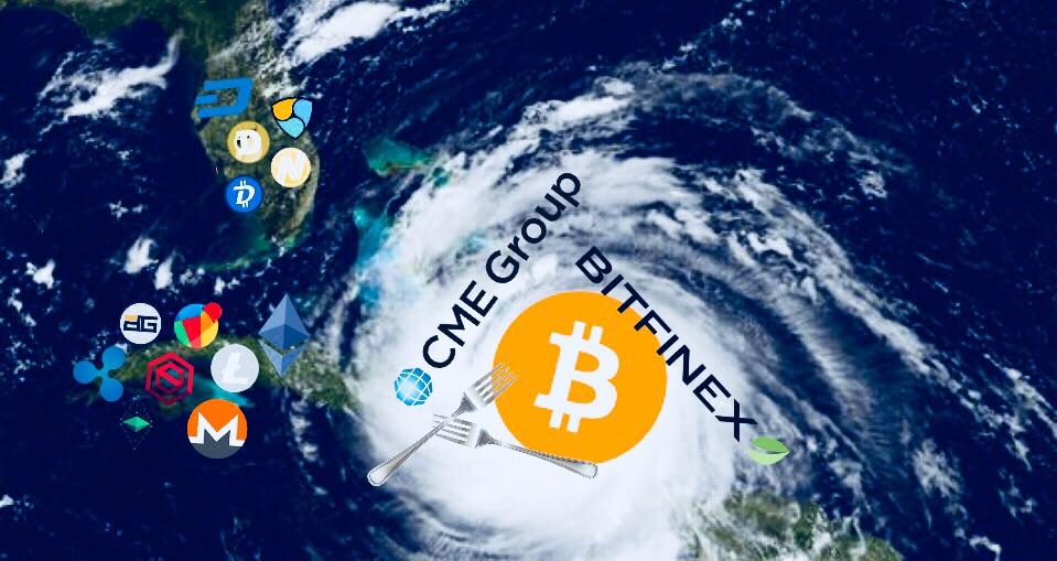 storm CryptoCurrency