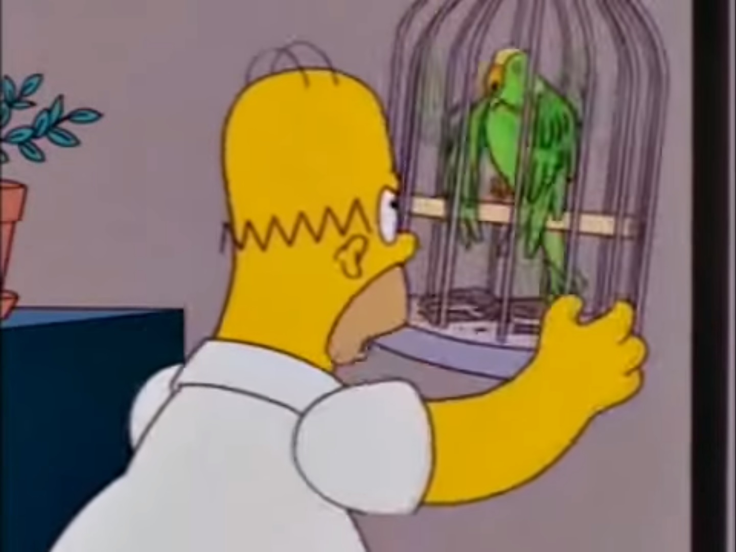 113 best u/gabe97 images on Pholder Prequel Memes, The Simpsons and Singapore