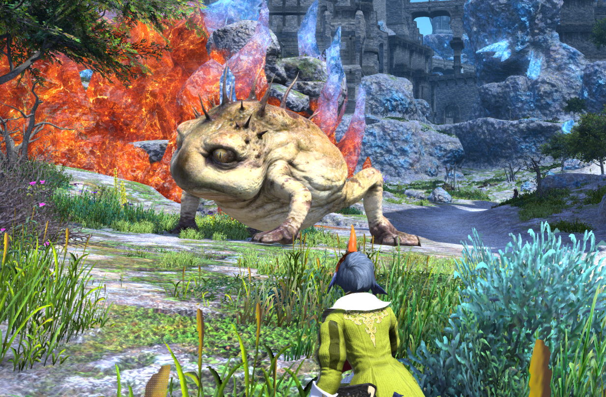 Yo I love these big ol frog Bois so damn much. Look at this wild Unit