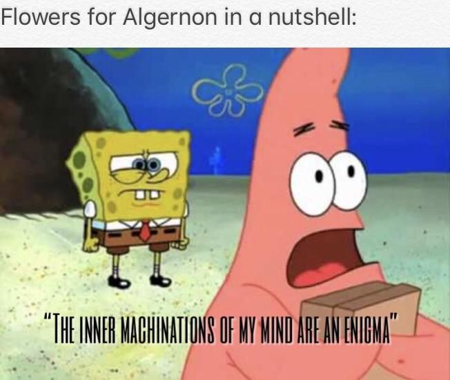 Flowers for Algernon in a nutshell r/BikiniBottomTwitter