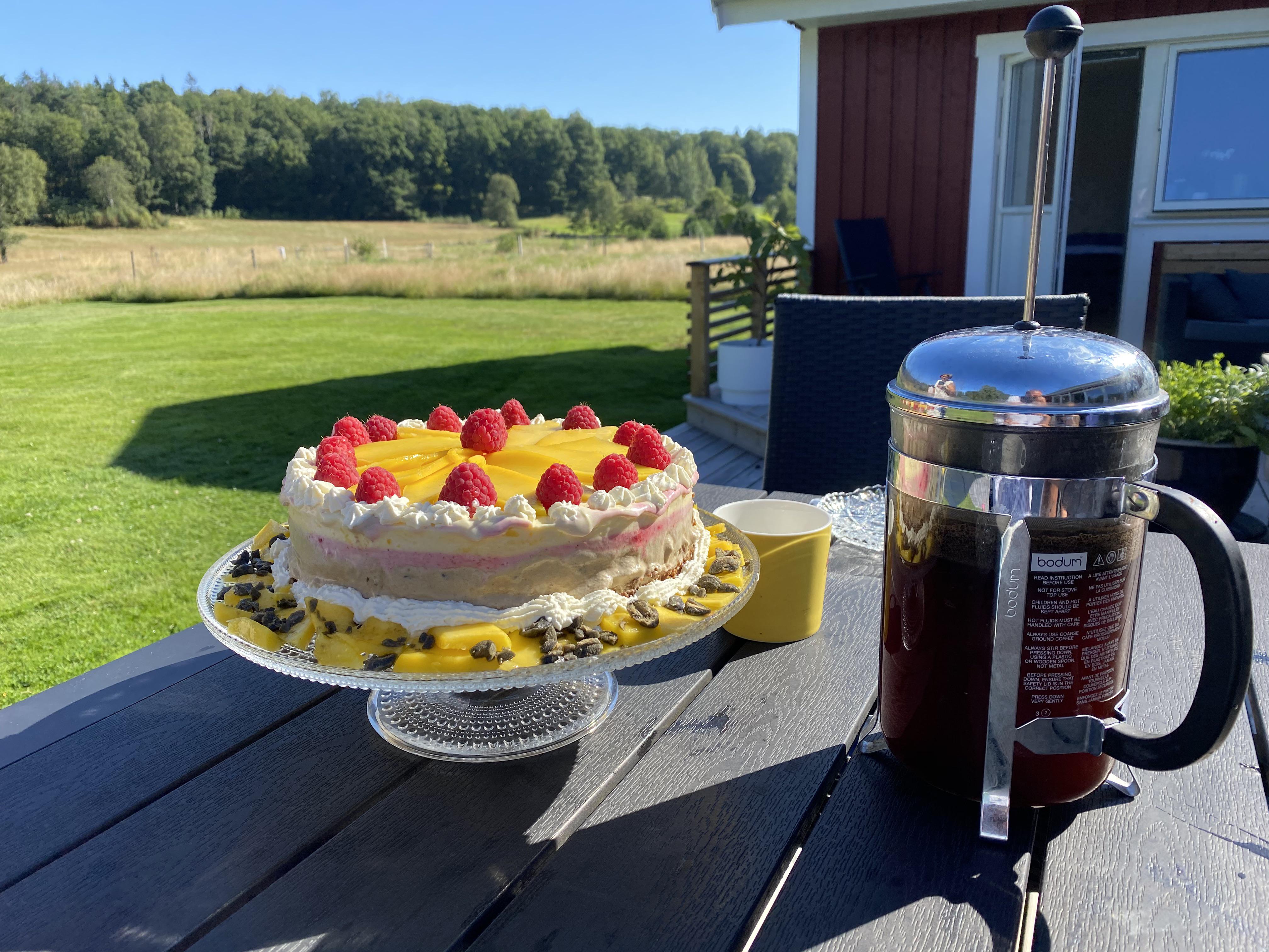 Ice cream cake with mango, raspberries and salty licorice. r/AmateurFoodPorn