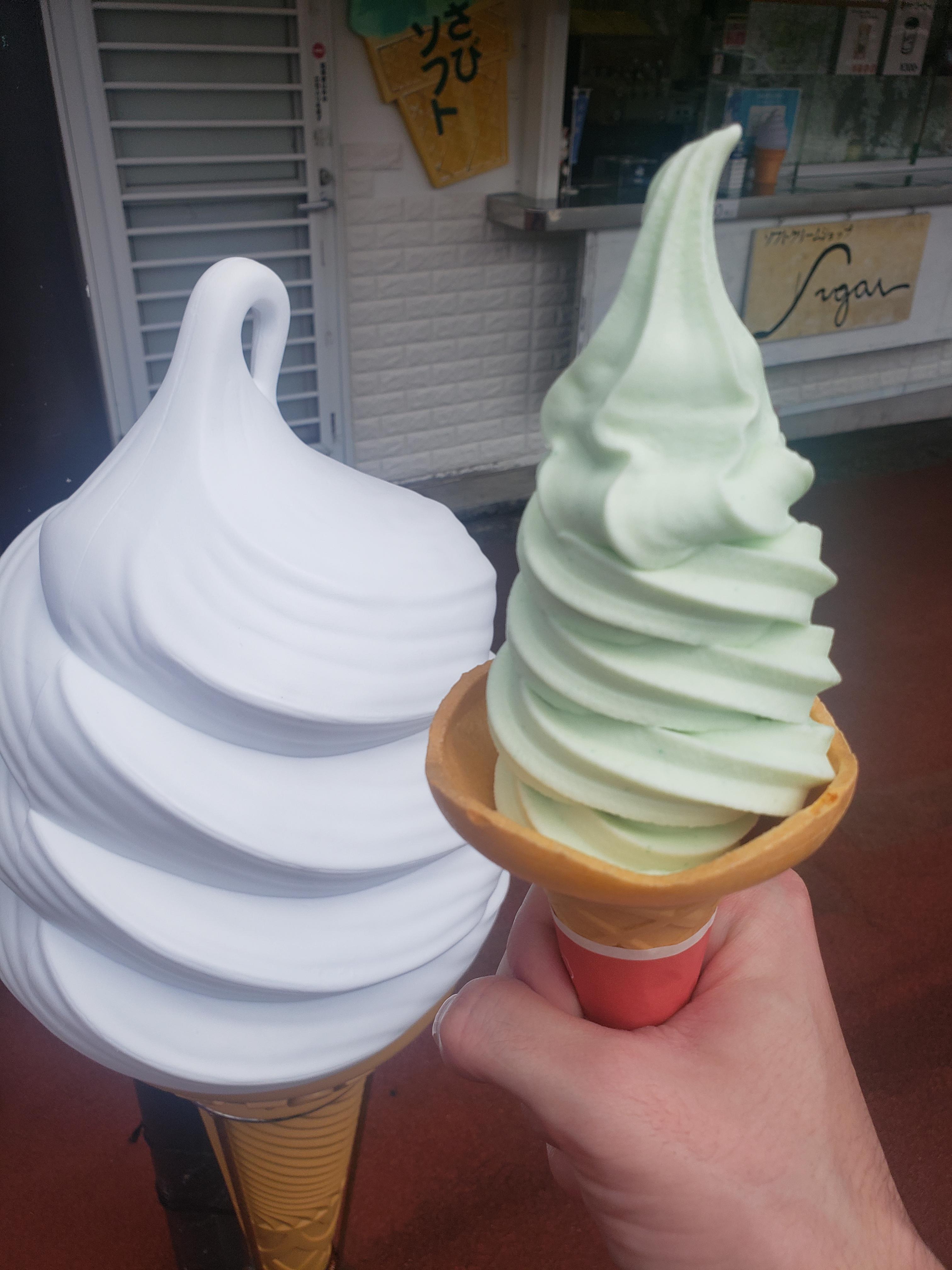 Some Wasabi flavored ice cream I had in Japan r/icecream