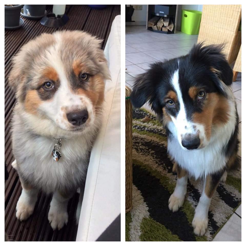 Color change with age aww