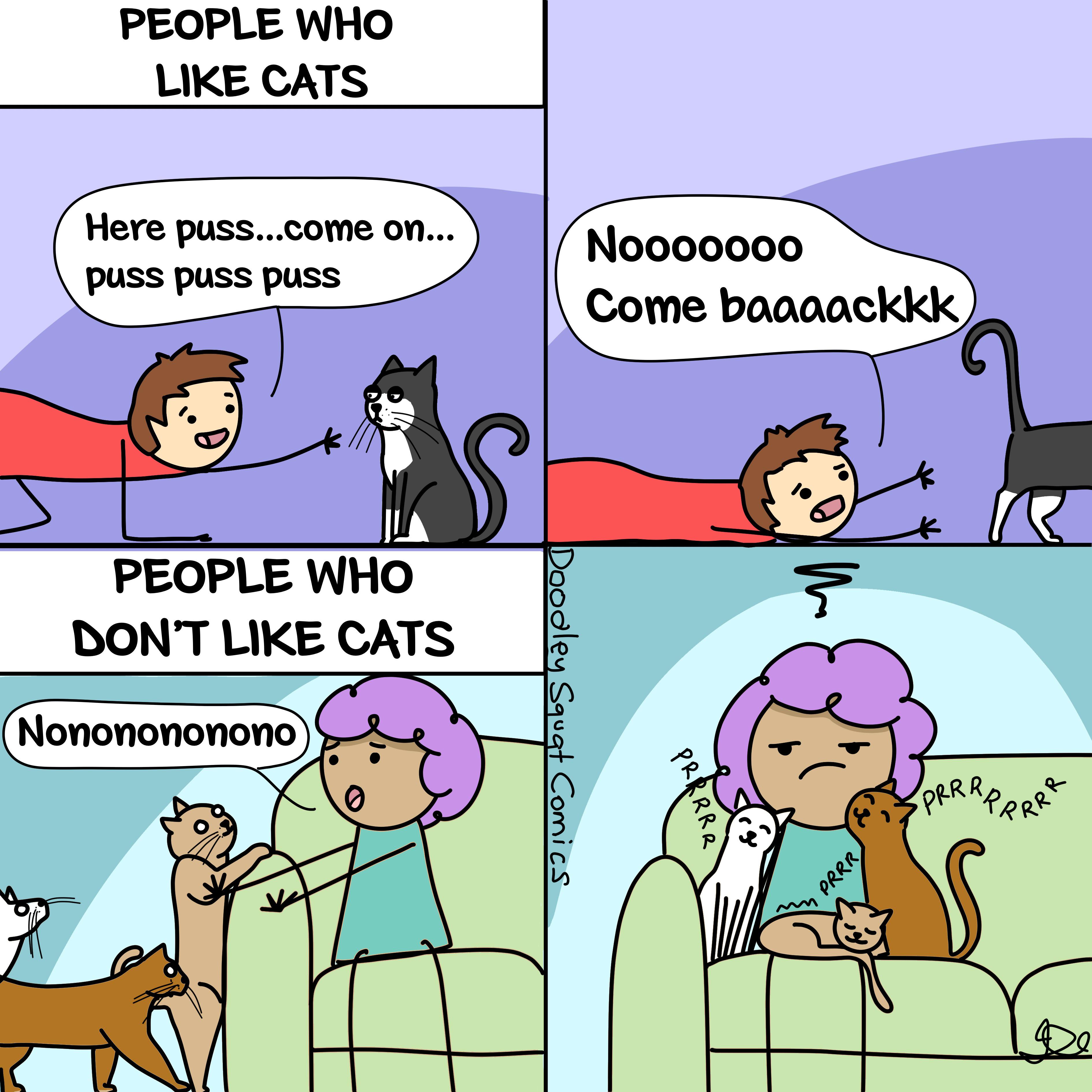 Come back here and love me (OC) r/cats