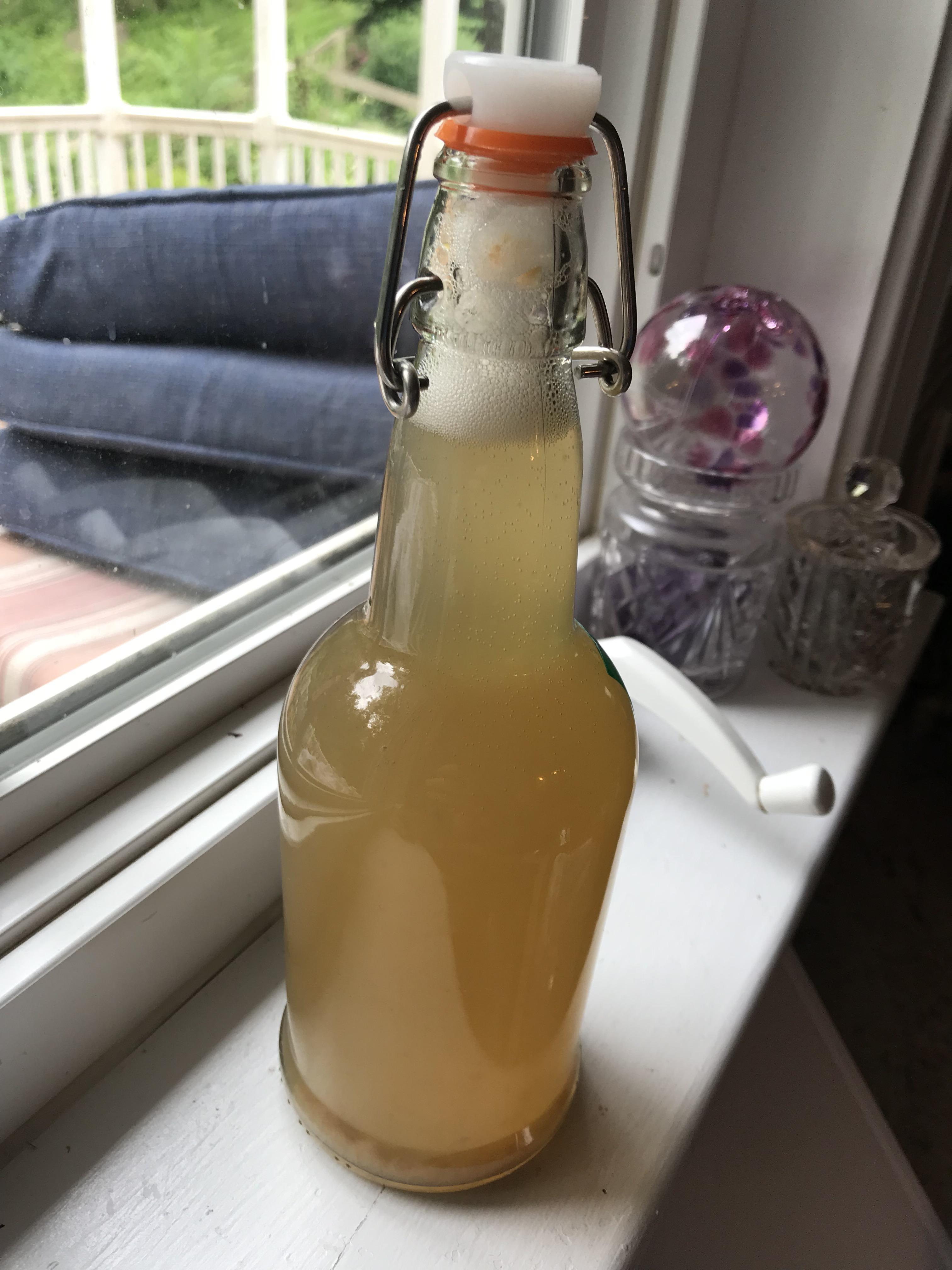 Lychee Green Tea Kombucha is my new favorite r/Kombucha