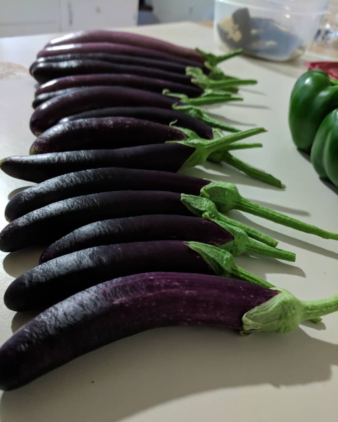 Last year's end of season eggplants. 🍆🍆🍆 r/gardening