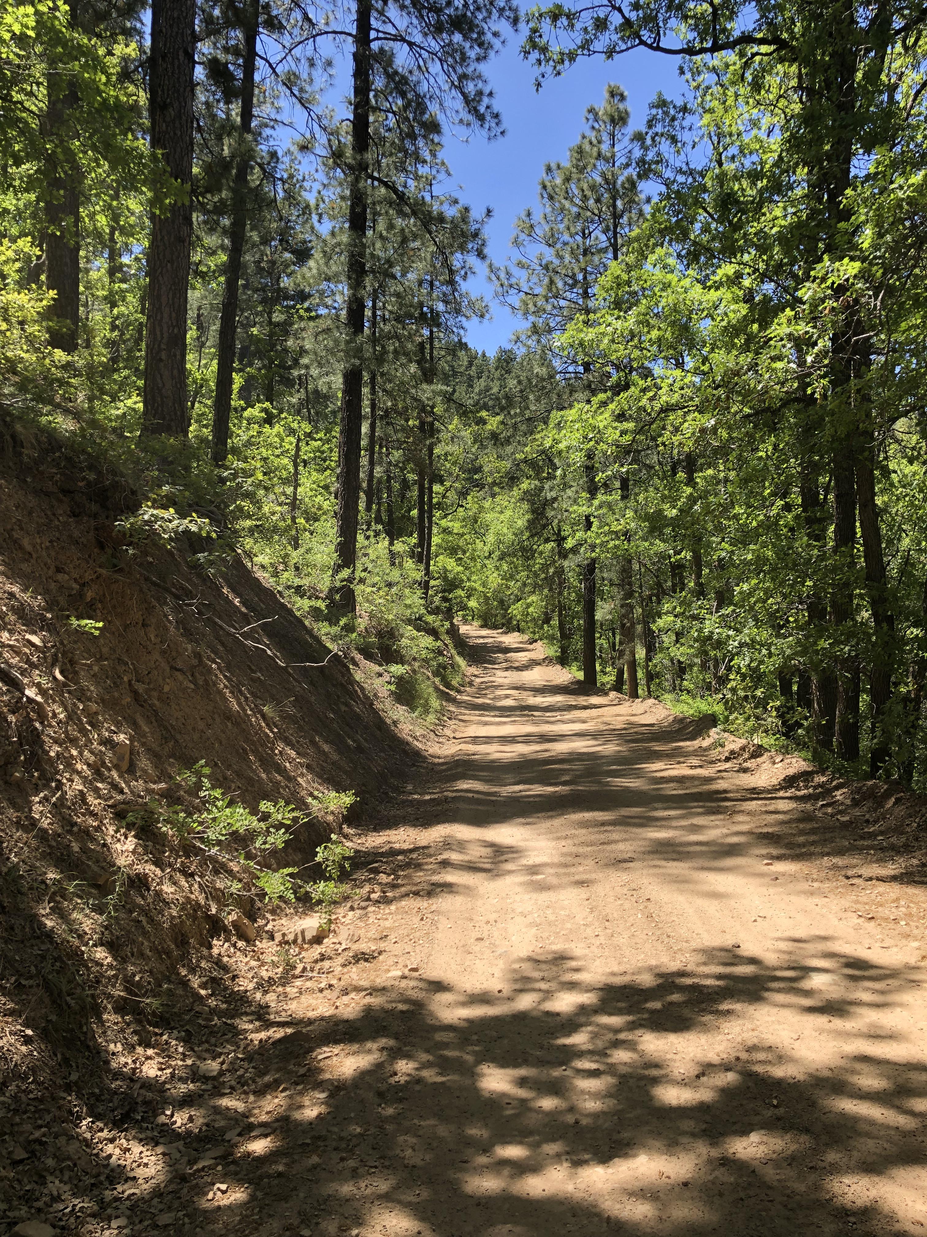 Senator Highway between Crown King and Prescott r/arizona