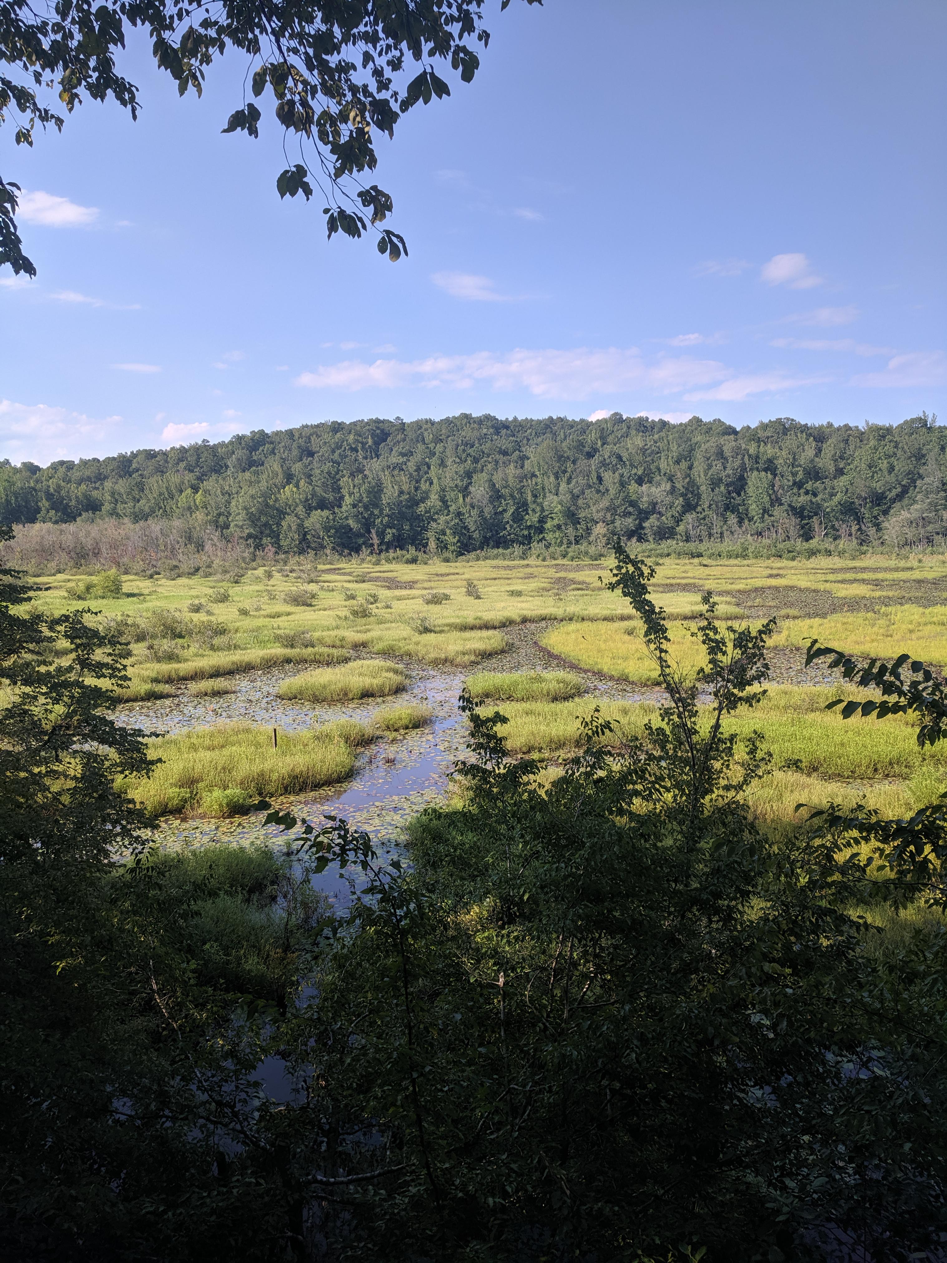 At Forty Acre Rock Heritage Preserve, Kershaw, South Carolina, USA