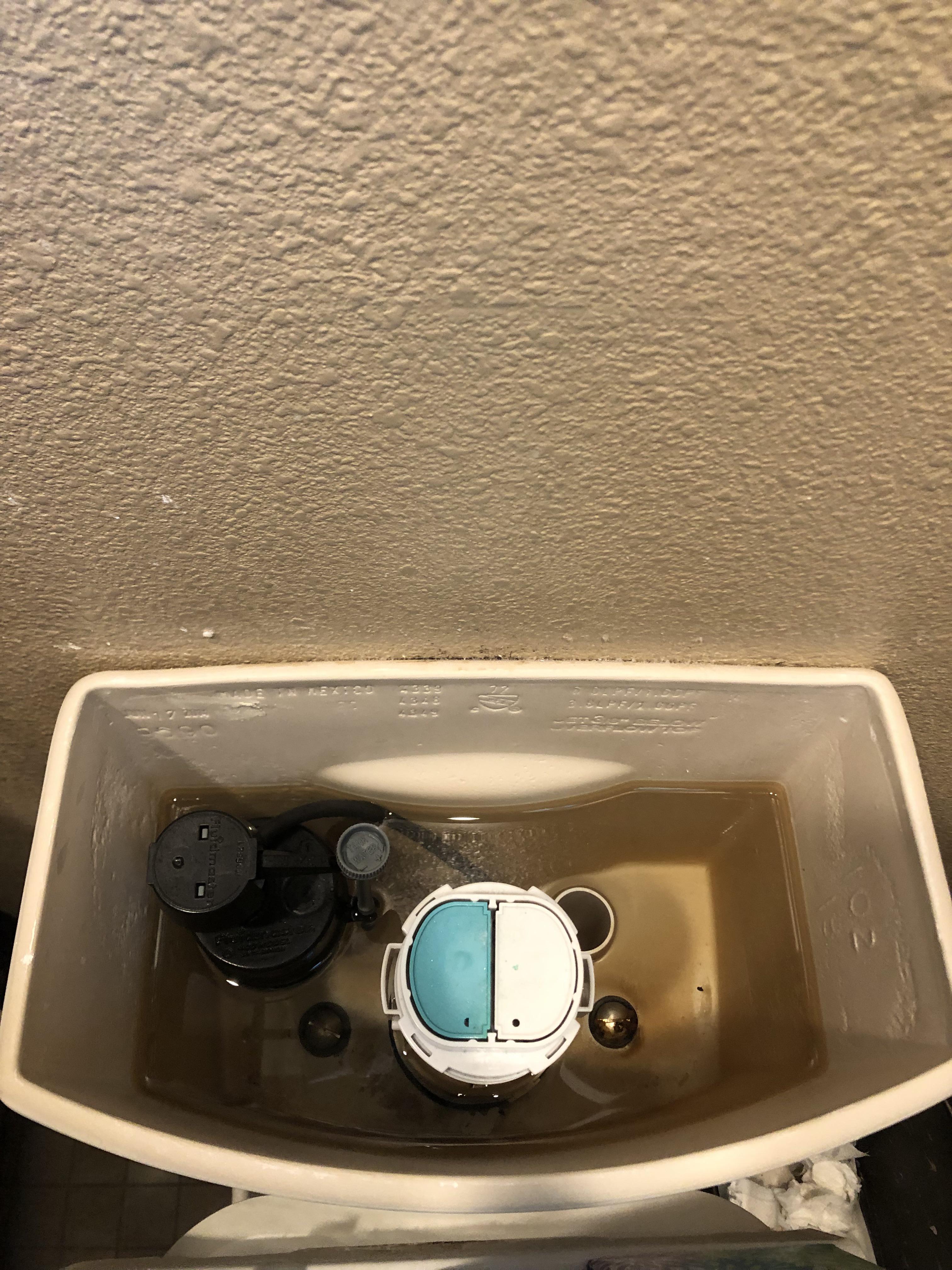 I replaced the fill valve a couple months back because it was making an annoying high pitch