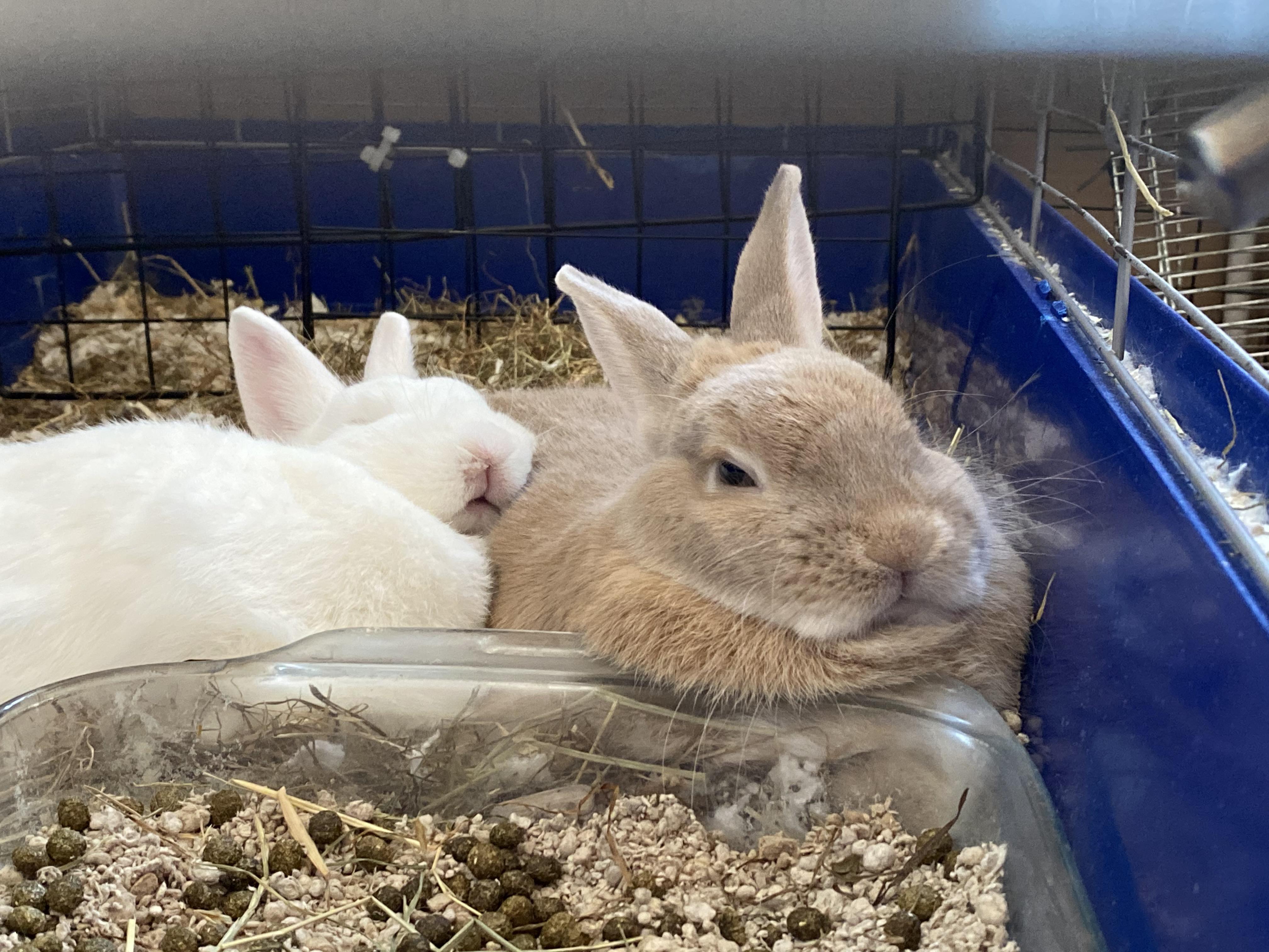 I feel like at this point we can honestly say they’re 100 bonded. r