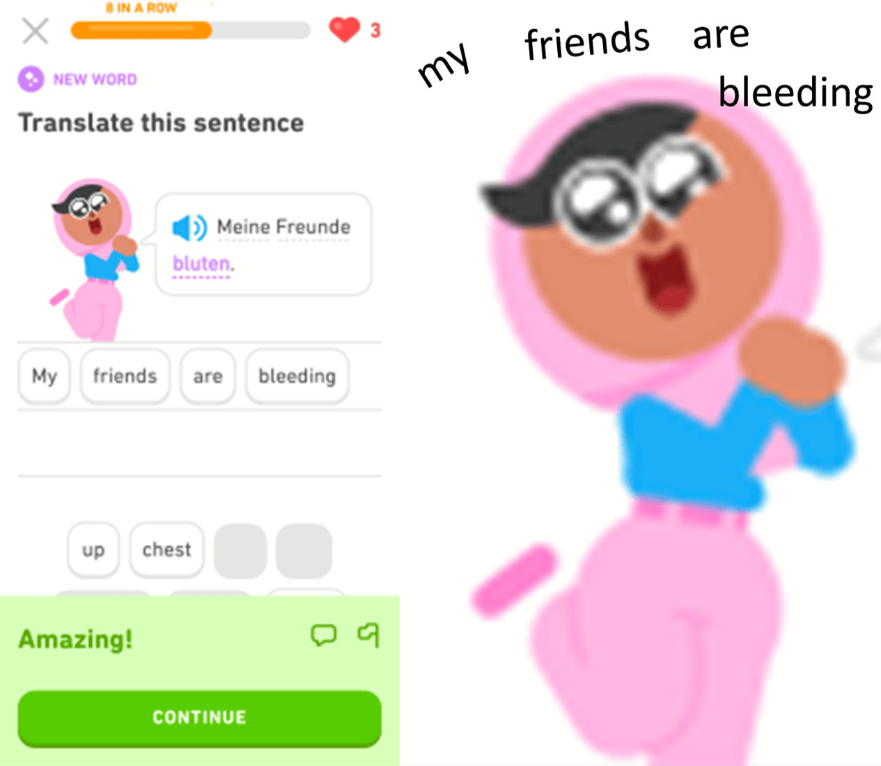 I'm concerned for you, Duolingo... memes