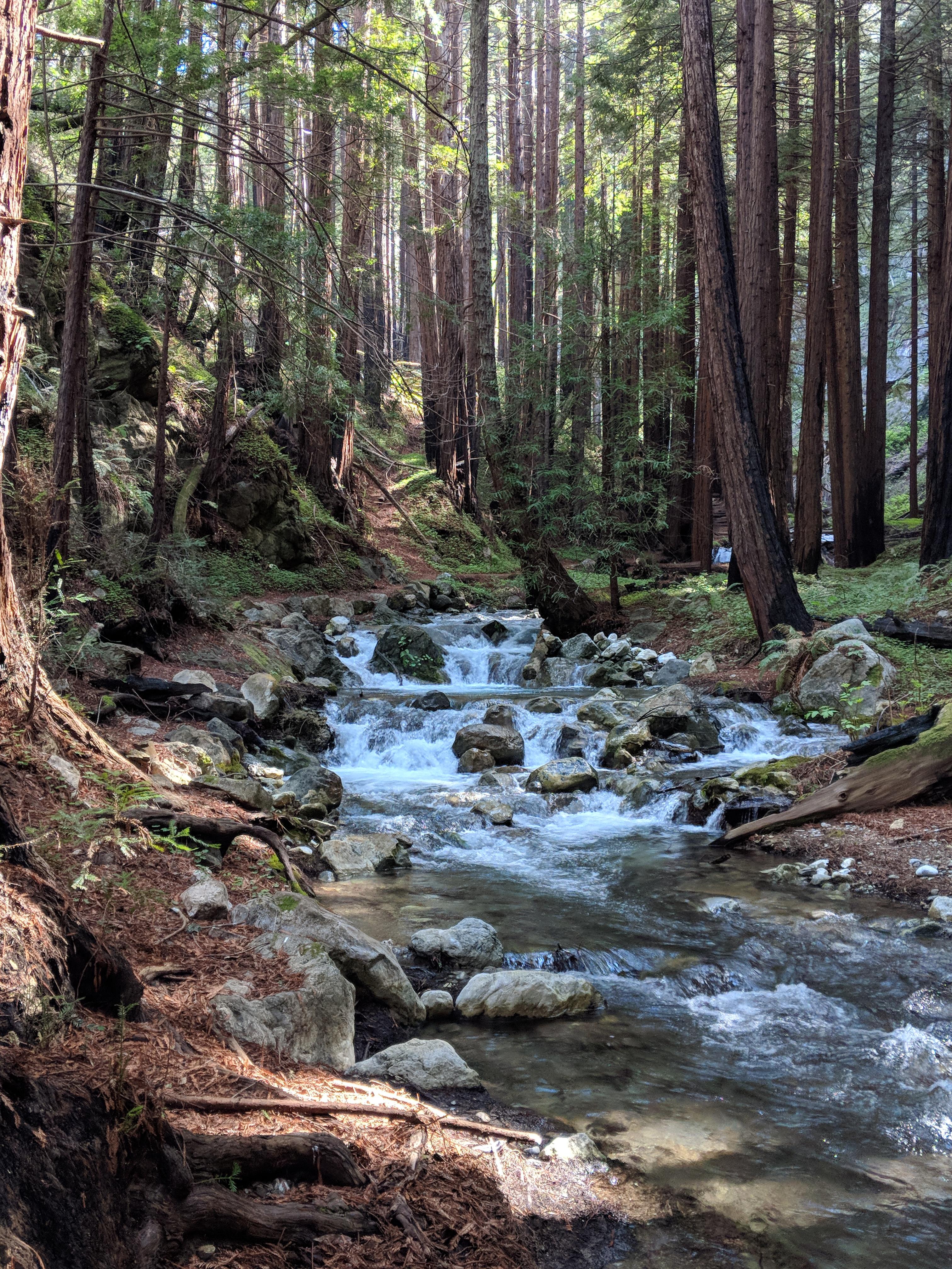 Limekiln State Park near Big Sur, California [OC] r/hiking