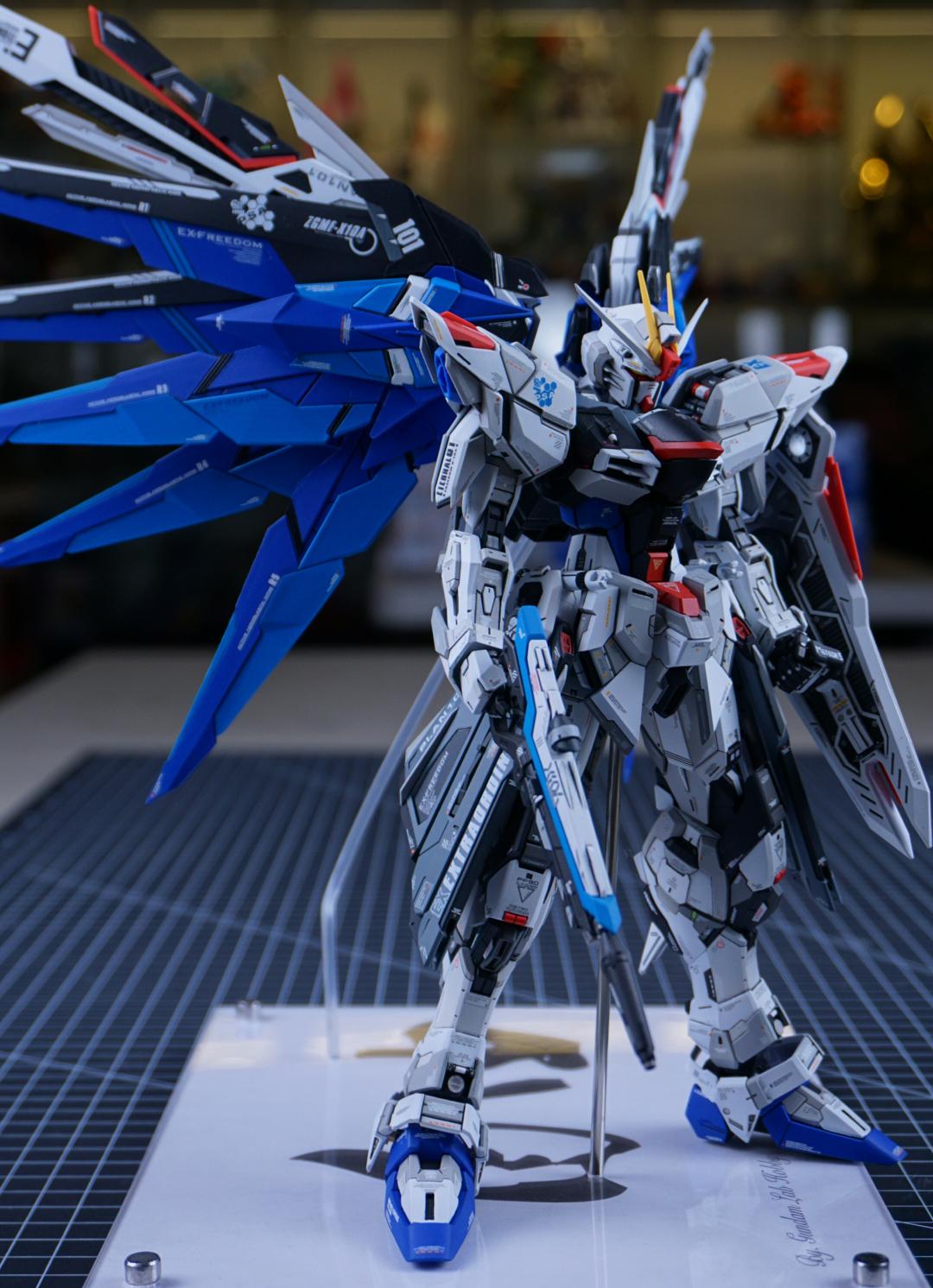 MG Freedom Gundam (Infinite Dimension) r/Gunpla