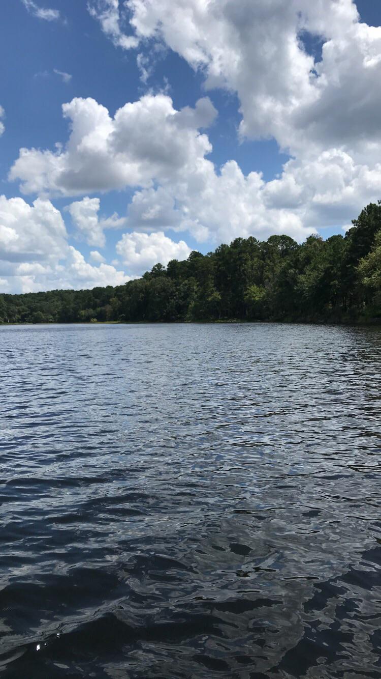 Our view from the water in Daingerfield State Park TX r/camping