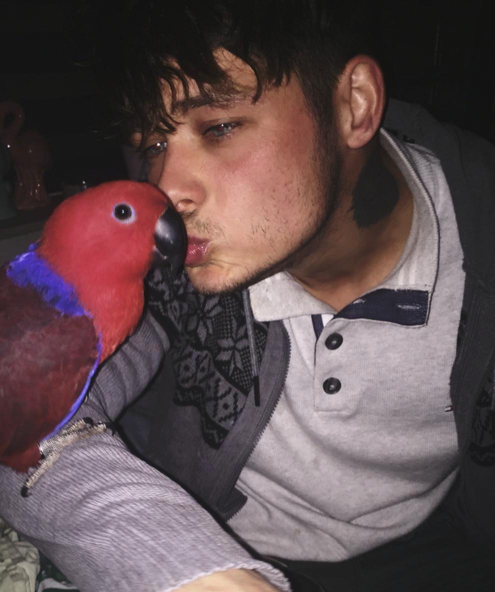 Kissy time. r/parrots