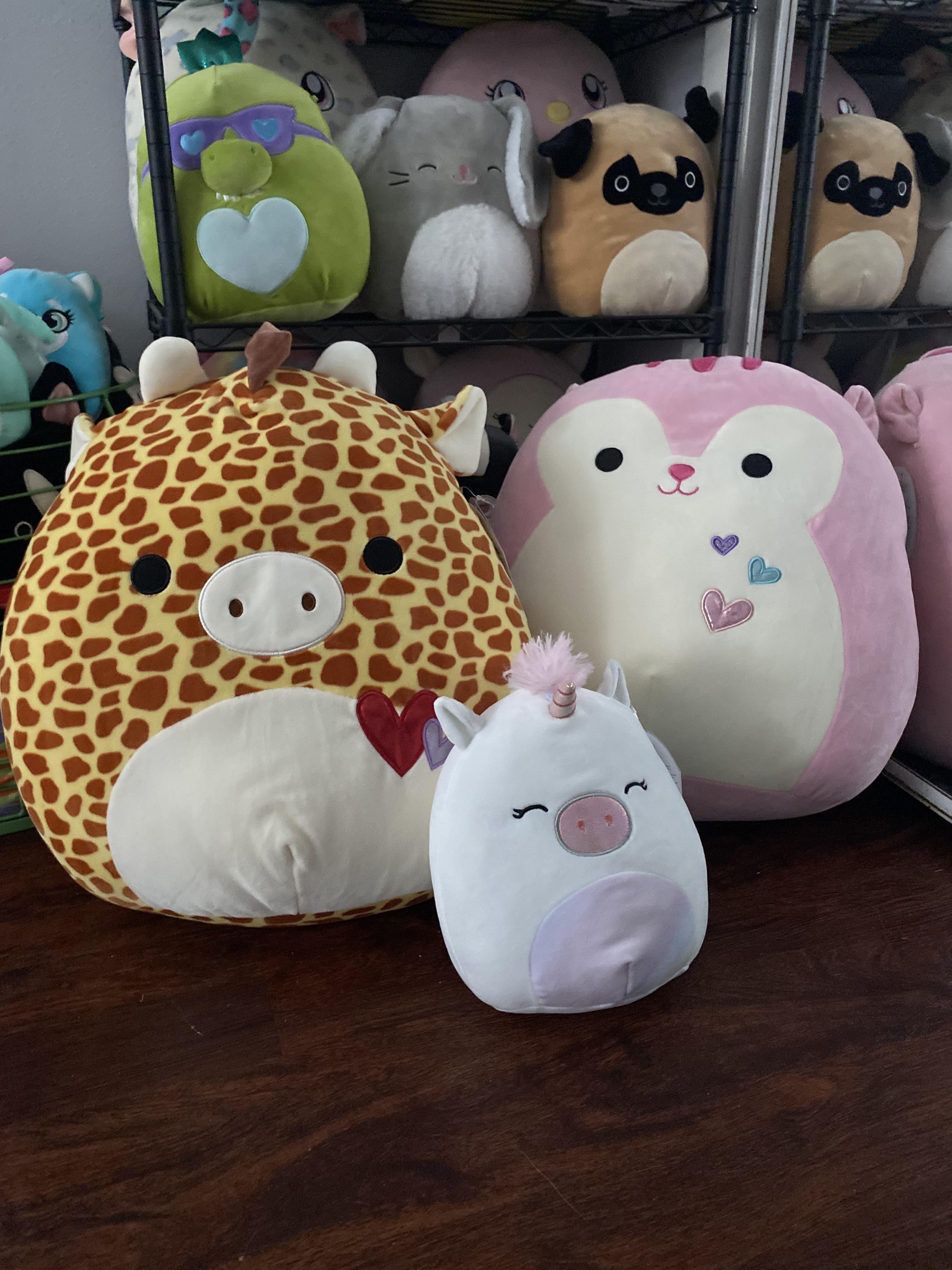 kinda shocked to find valentine’s day squishmallows today! walgreens