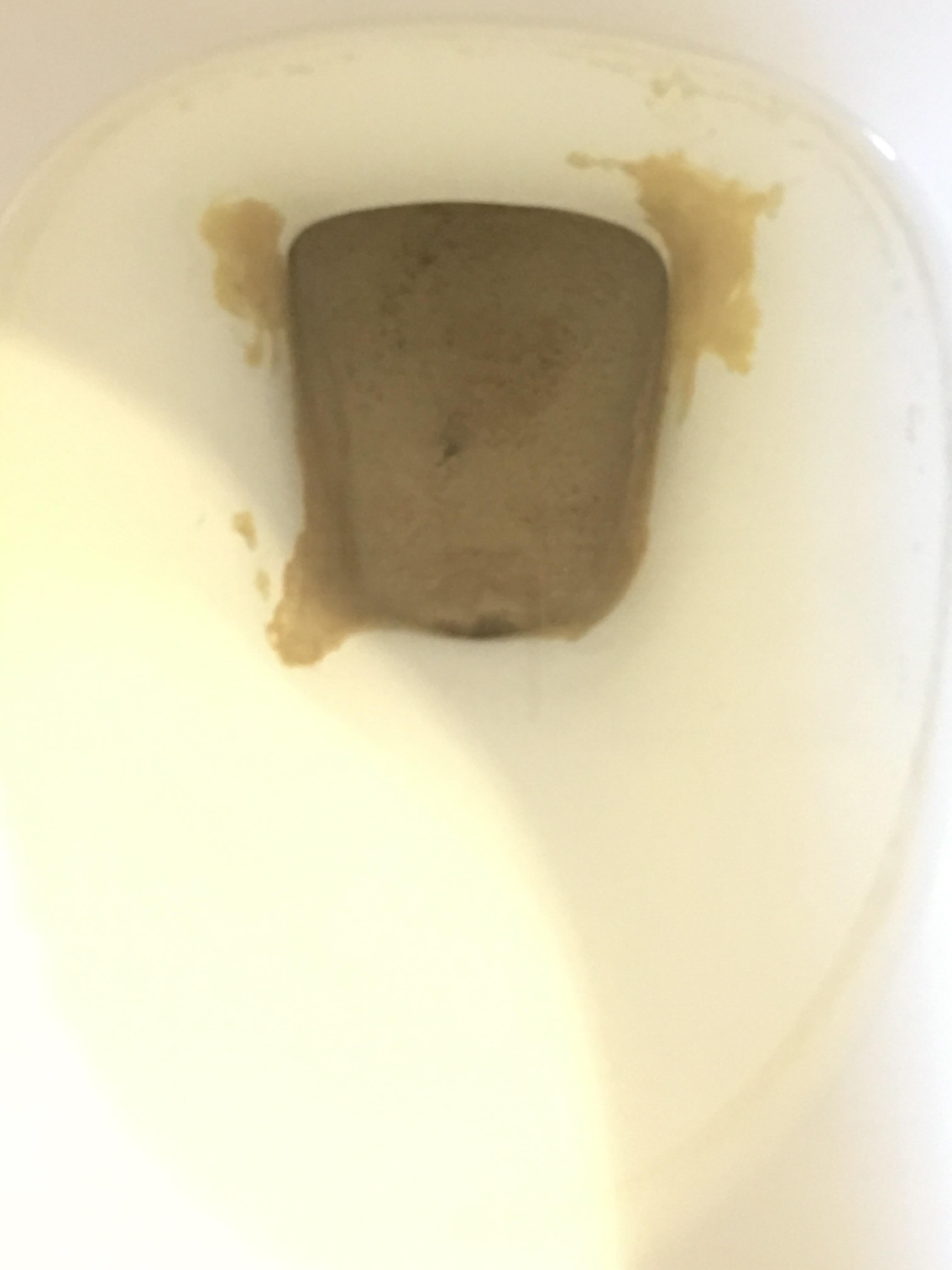 What is this stuff at the bottom of this toilet? Is it a mineral deposit? r/whatisthisthing