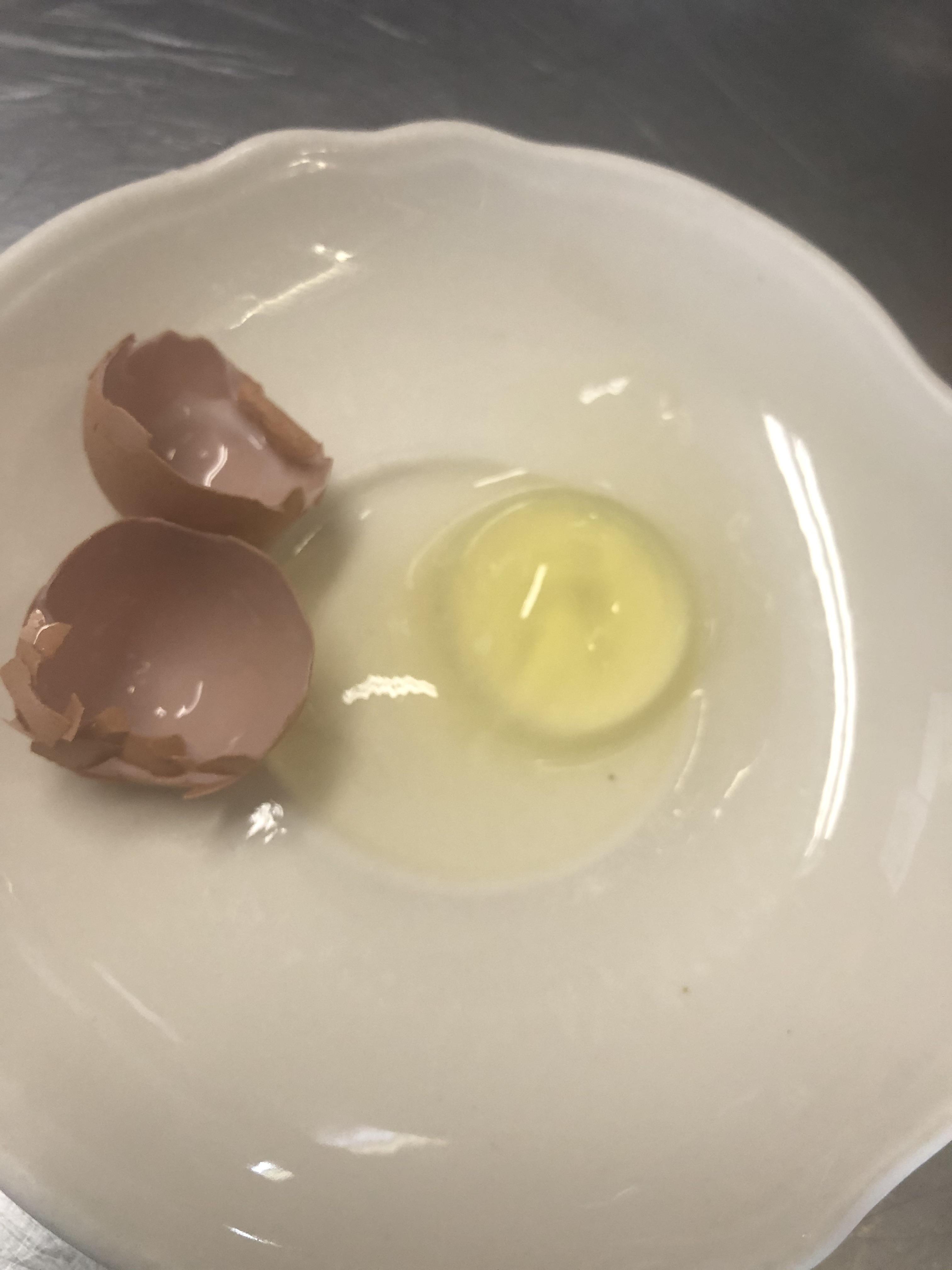Tiny chicken egg with no yolk/clear yolk... how does this happen