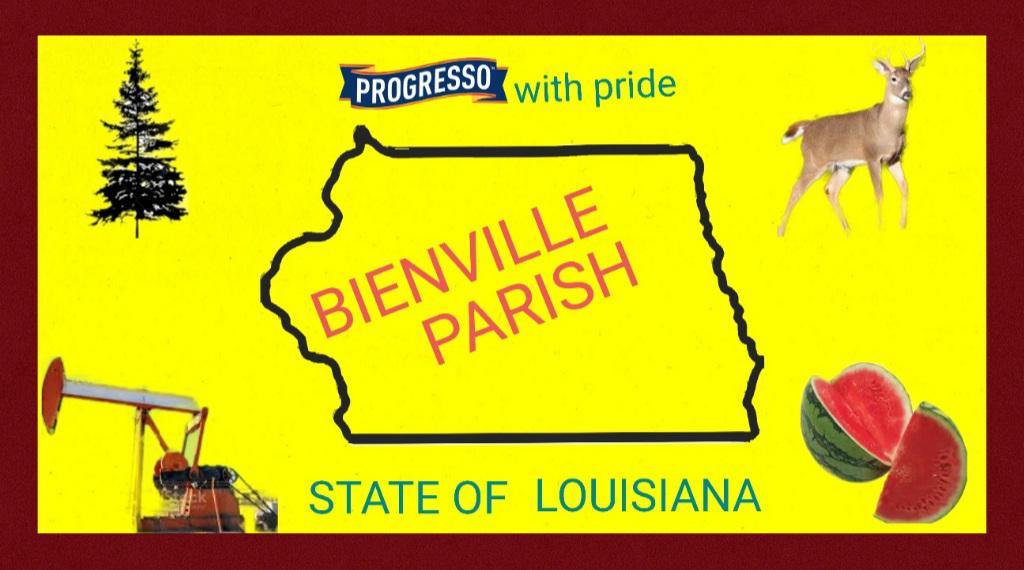 Bienville parish flag but I don't care r/vexillologycirclejerk