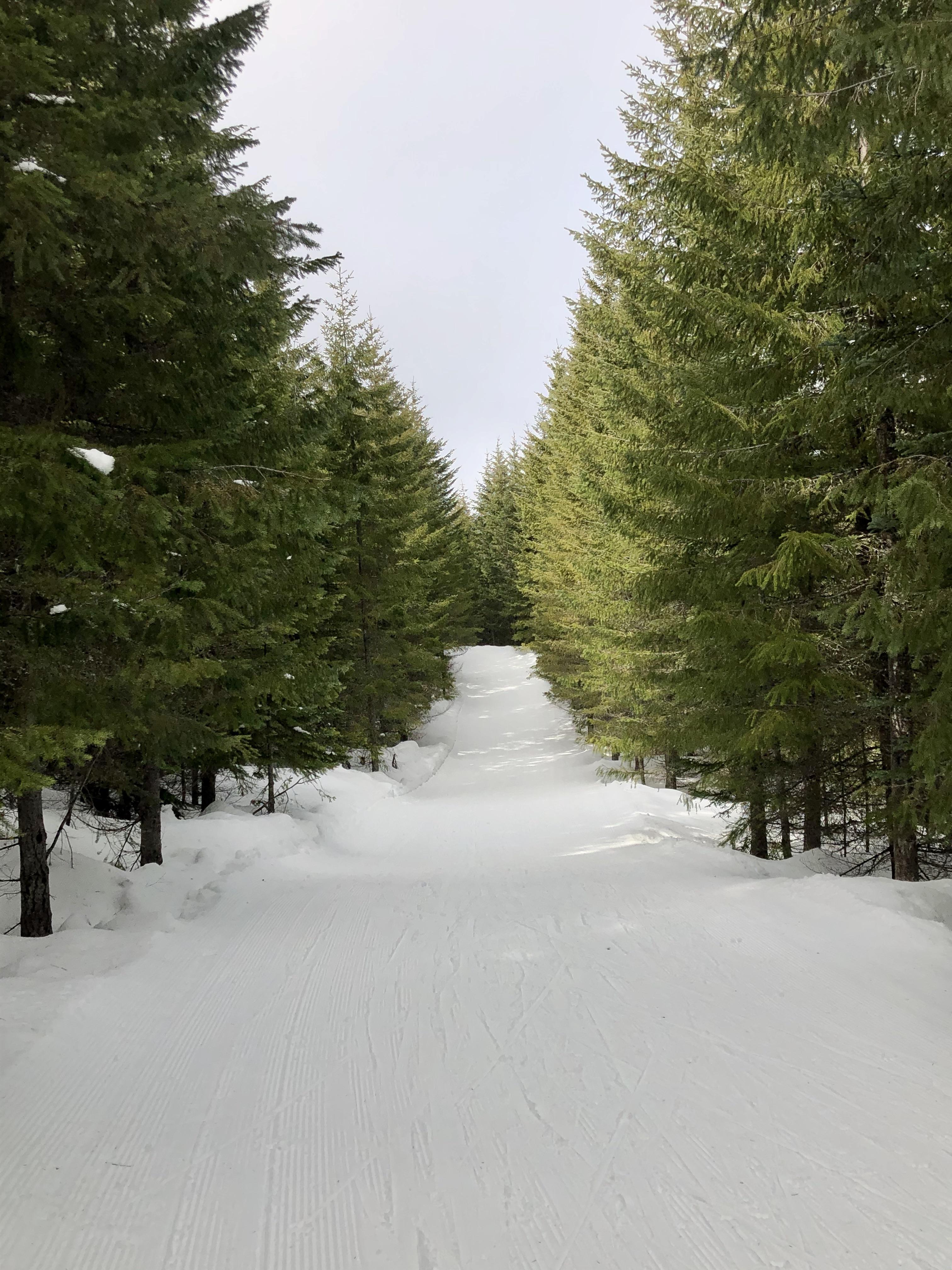 Cabin Creek snopark r/xcountryskiing