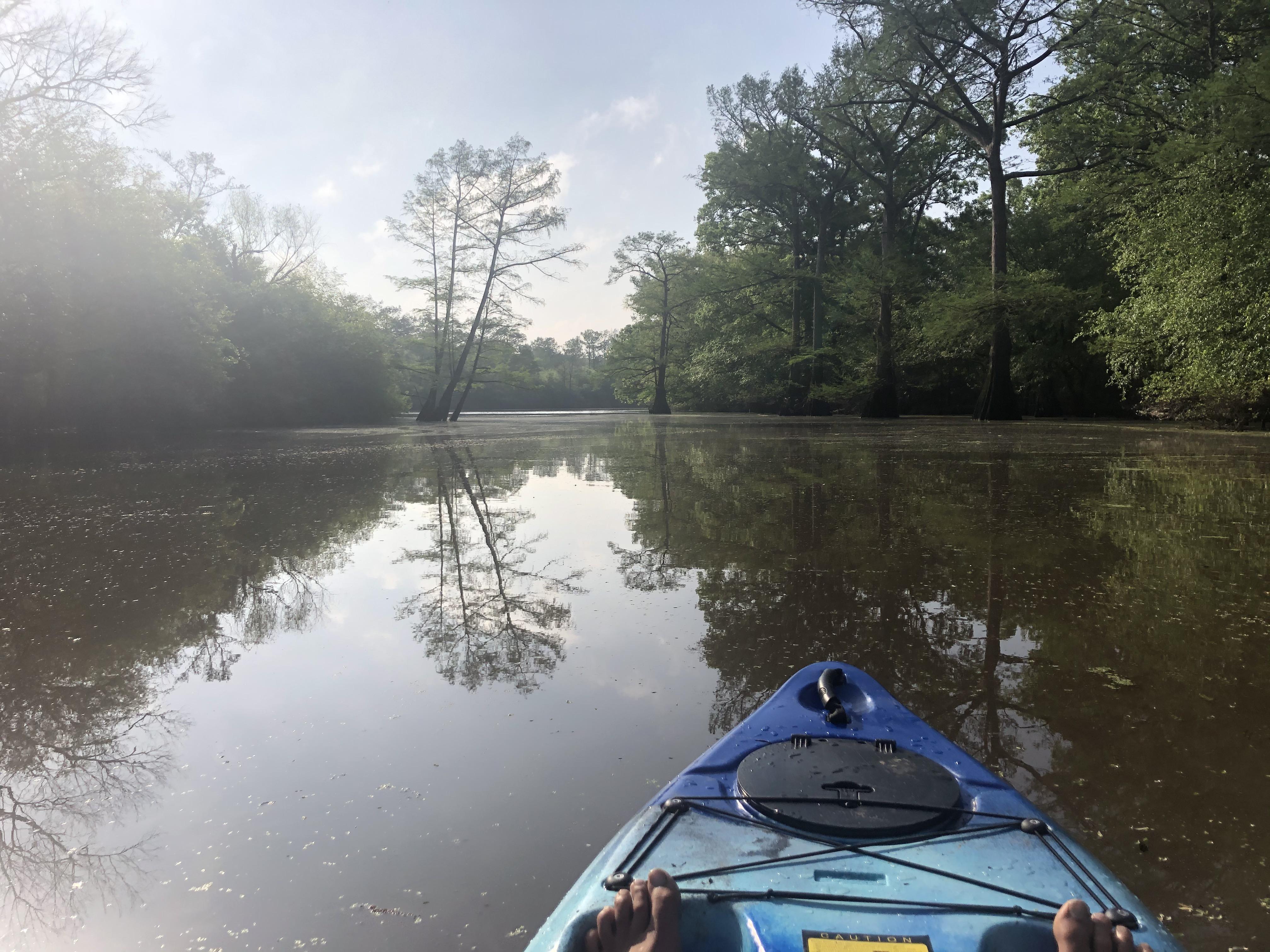 Sun Rising In Louisiana r/Kayaking