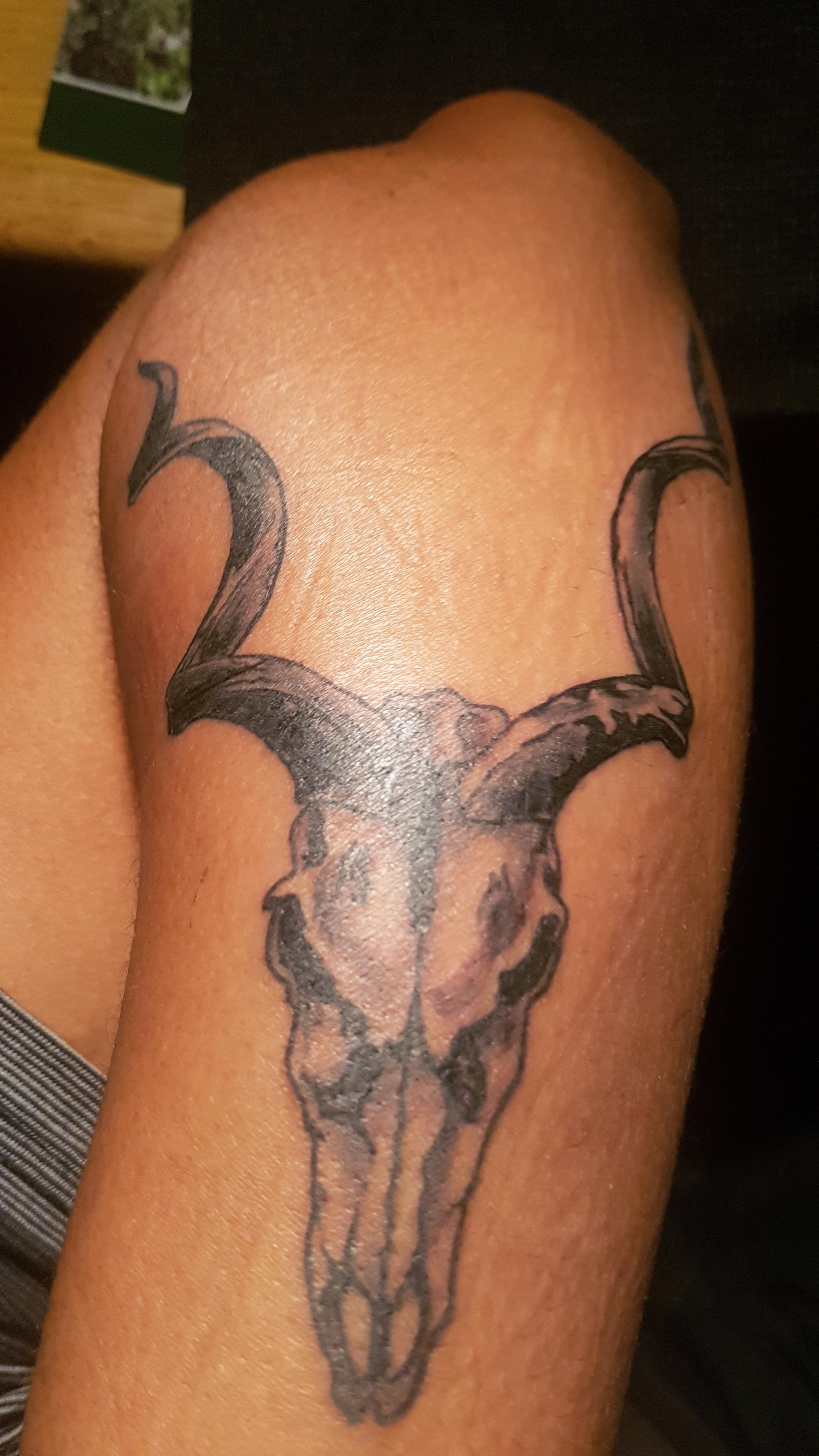 Newest addition, Kudu Skull done by Eddie V at Tattoo X, Colorado