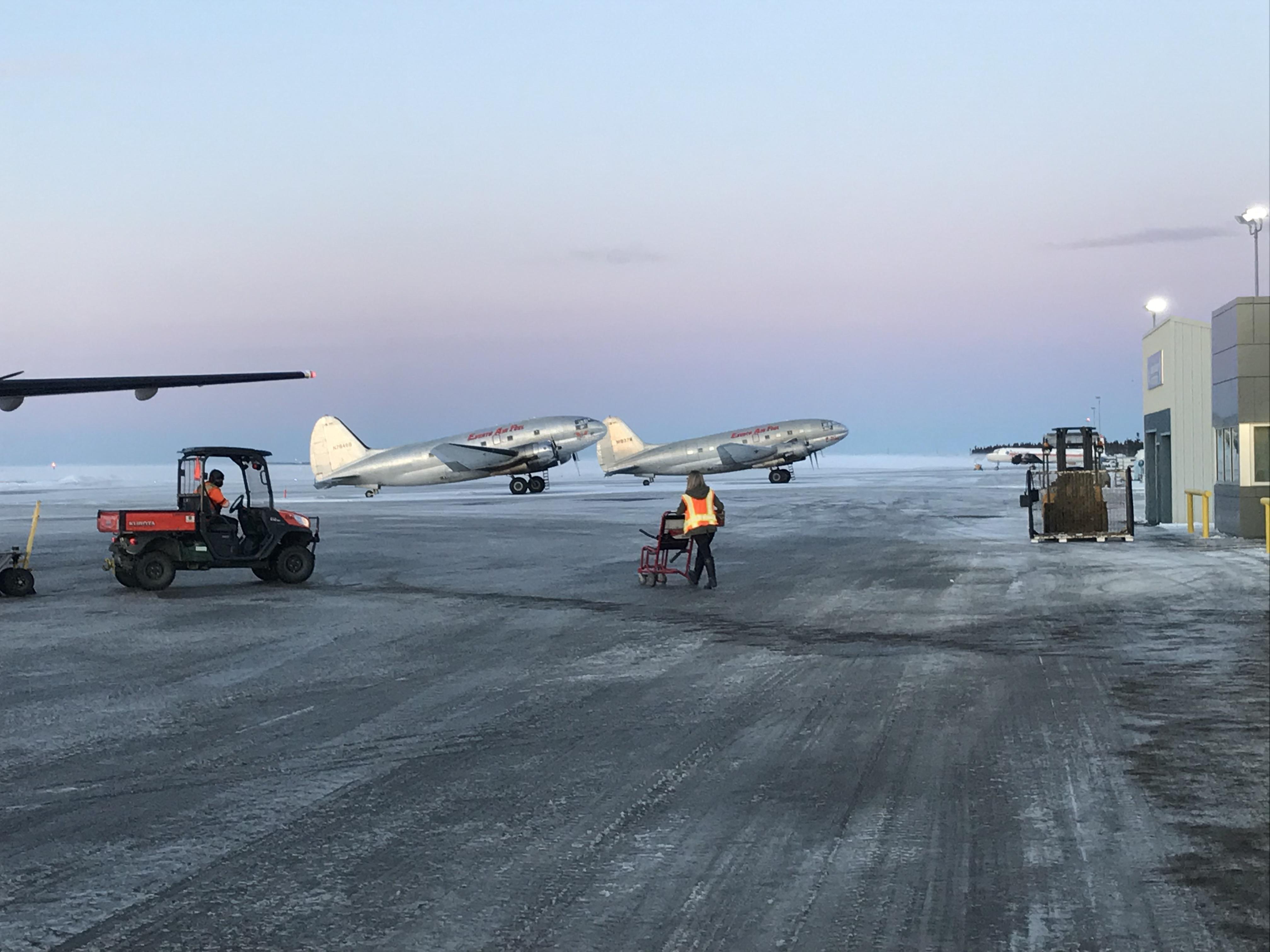 Spotted these at Kenai Municipal Airport, Alaska in January of 2021