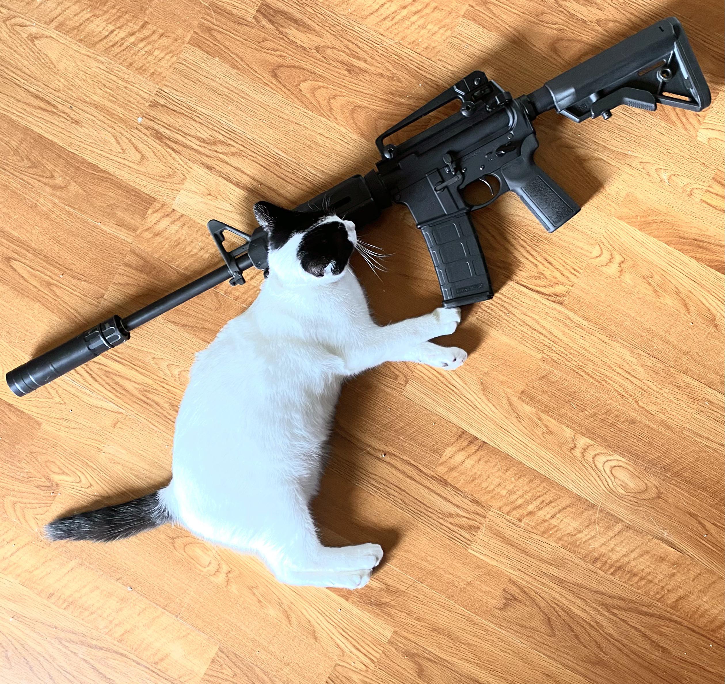 6905 best Razor images on Pholder Made Of Styrofoam, Wicked Edge and Legostarwars