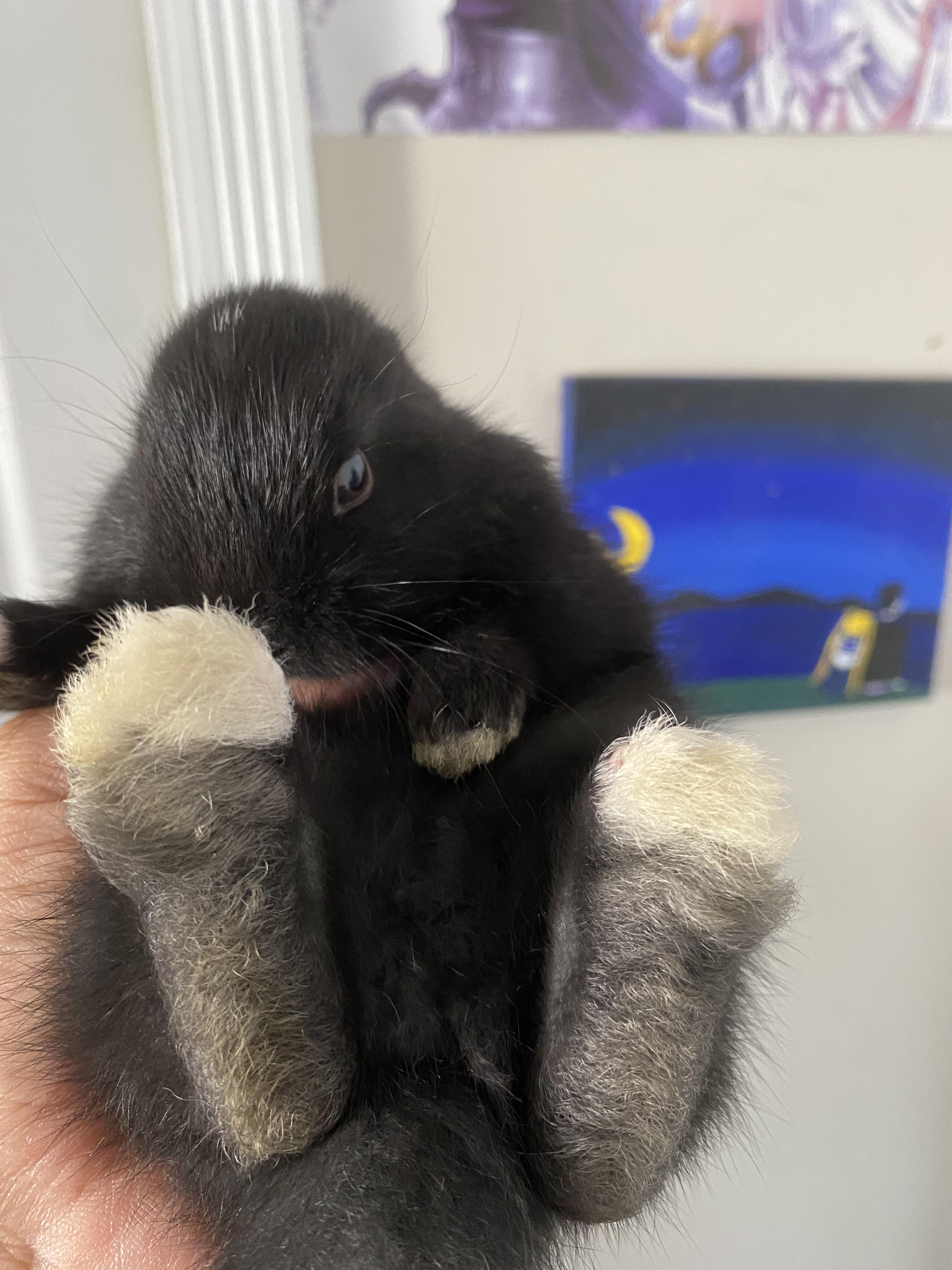 Not sure why but I’m obsessed how the bottom of their back stompers