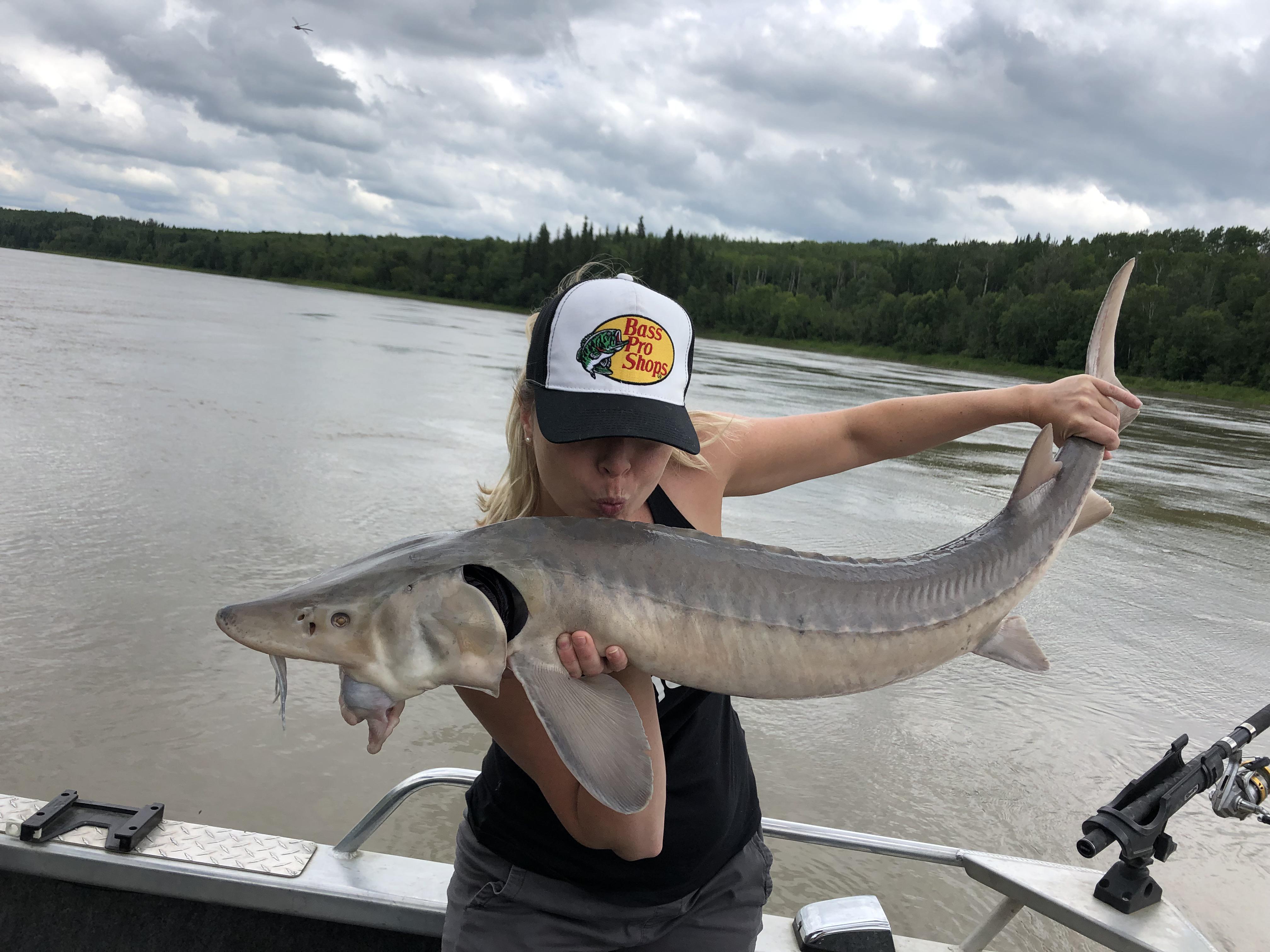 North Saskatchewan River. Lake sturgeon. r/Fishing