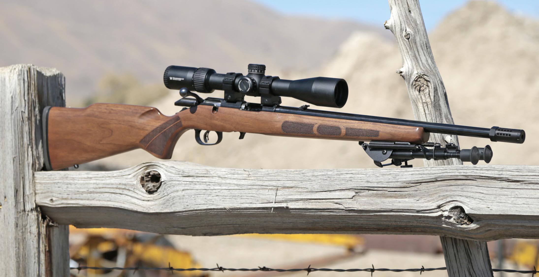 Ruger American Rimfire .22 LR, Boyds walnut stock. Vortex Diamondback