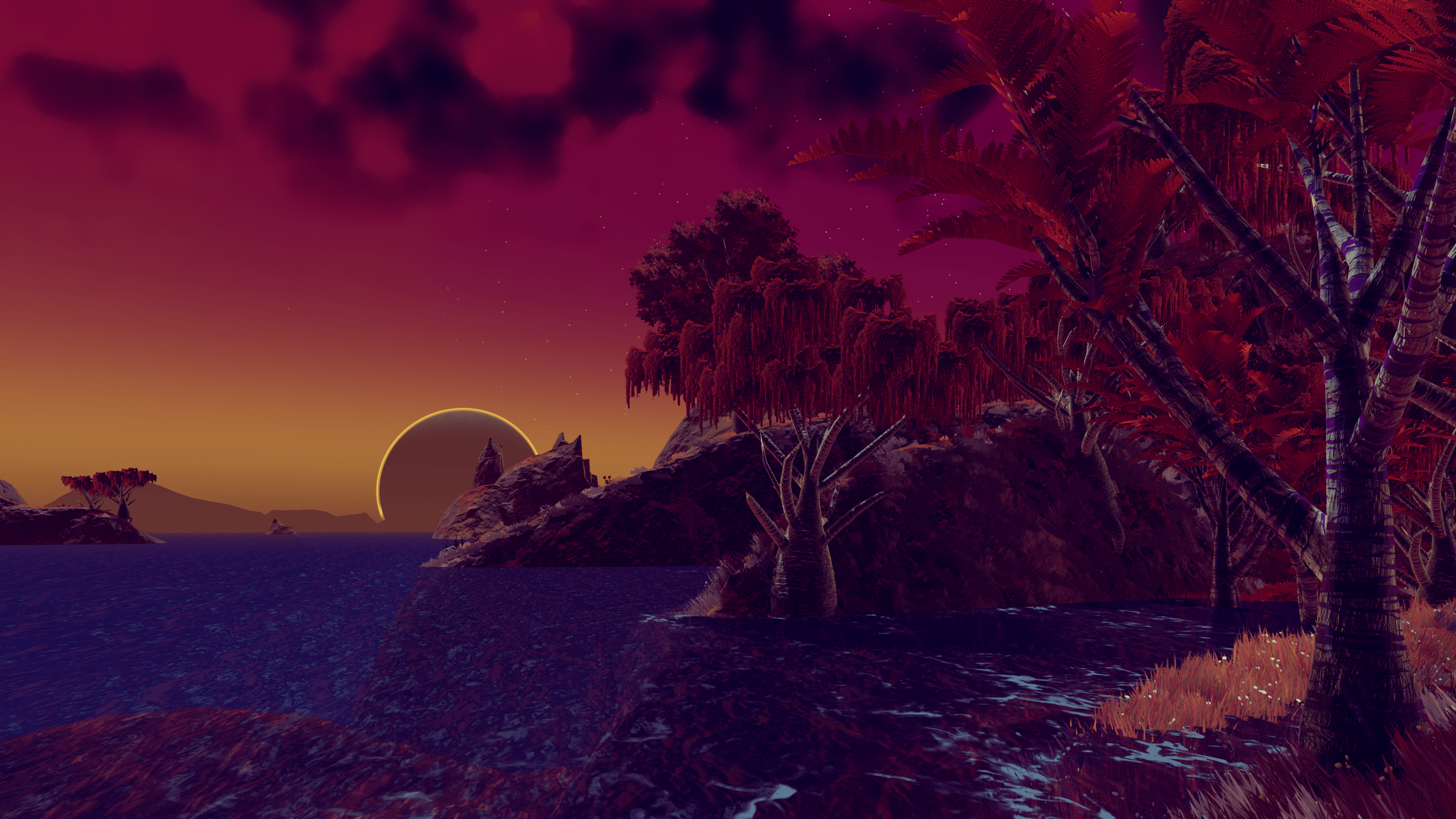 Night In Paradise Photo du film Night in Paradise Photo 6 sur 24