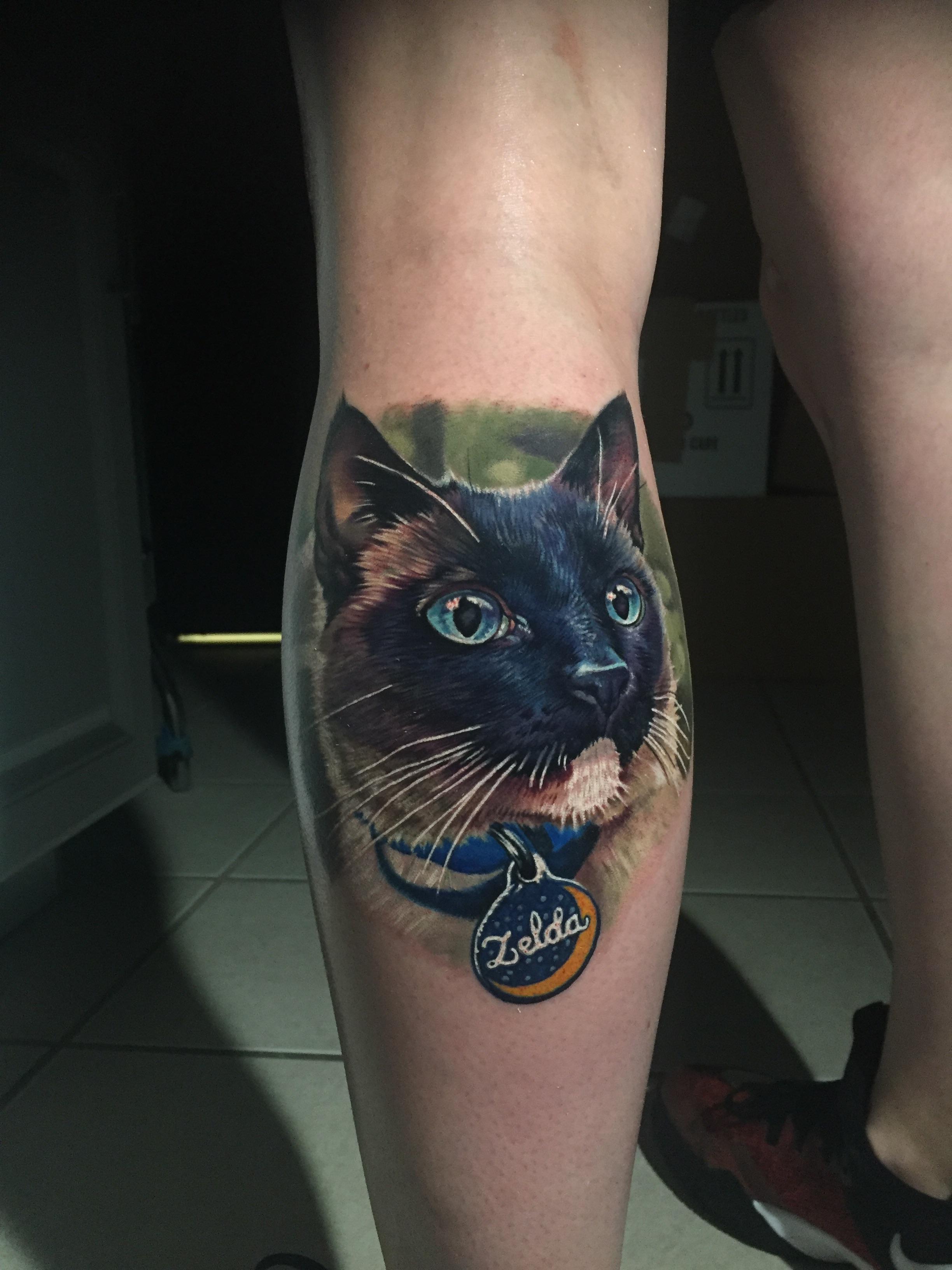 My cat Zelda by Evan Olin at Powerline Tattoo Cranston, RI