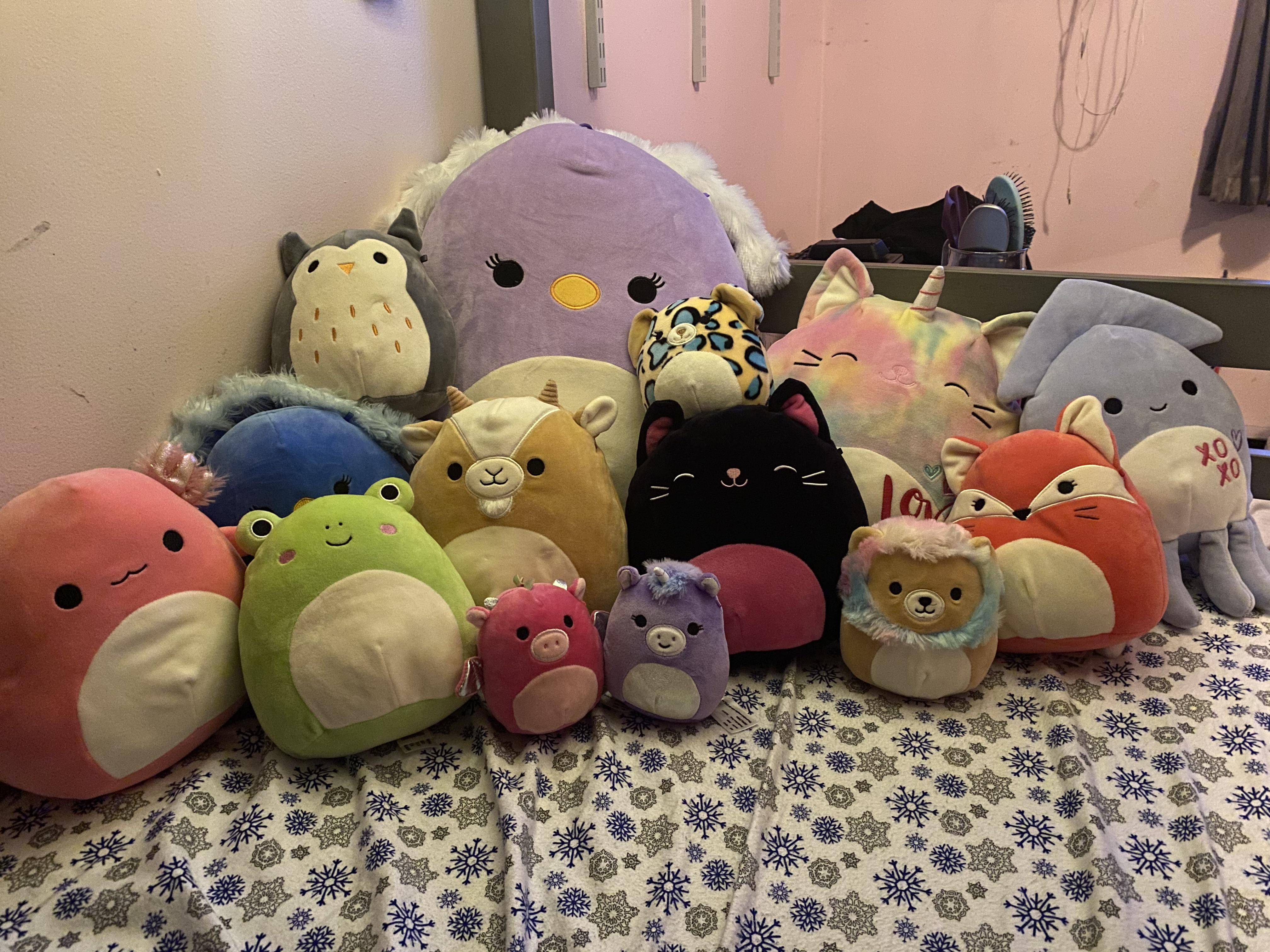 All of my Squishmallows! Most stores near me don’t carry them, so these