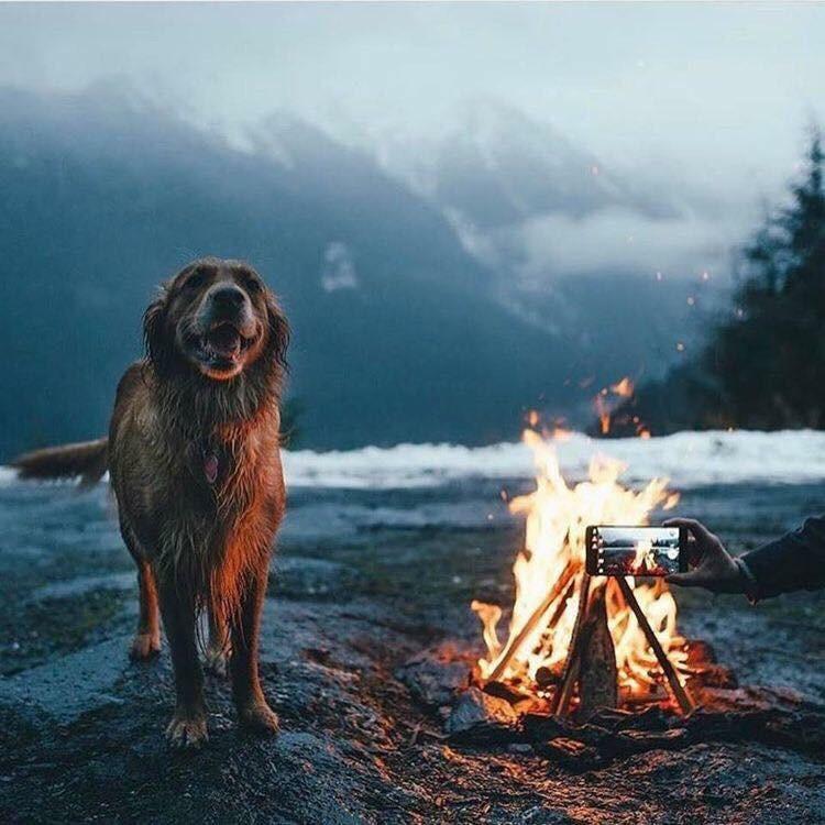 Who likes a fire? I love a fire! r/aww
