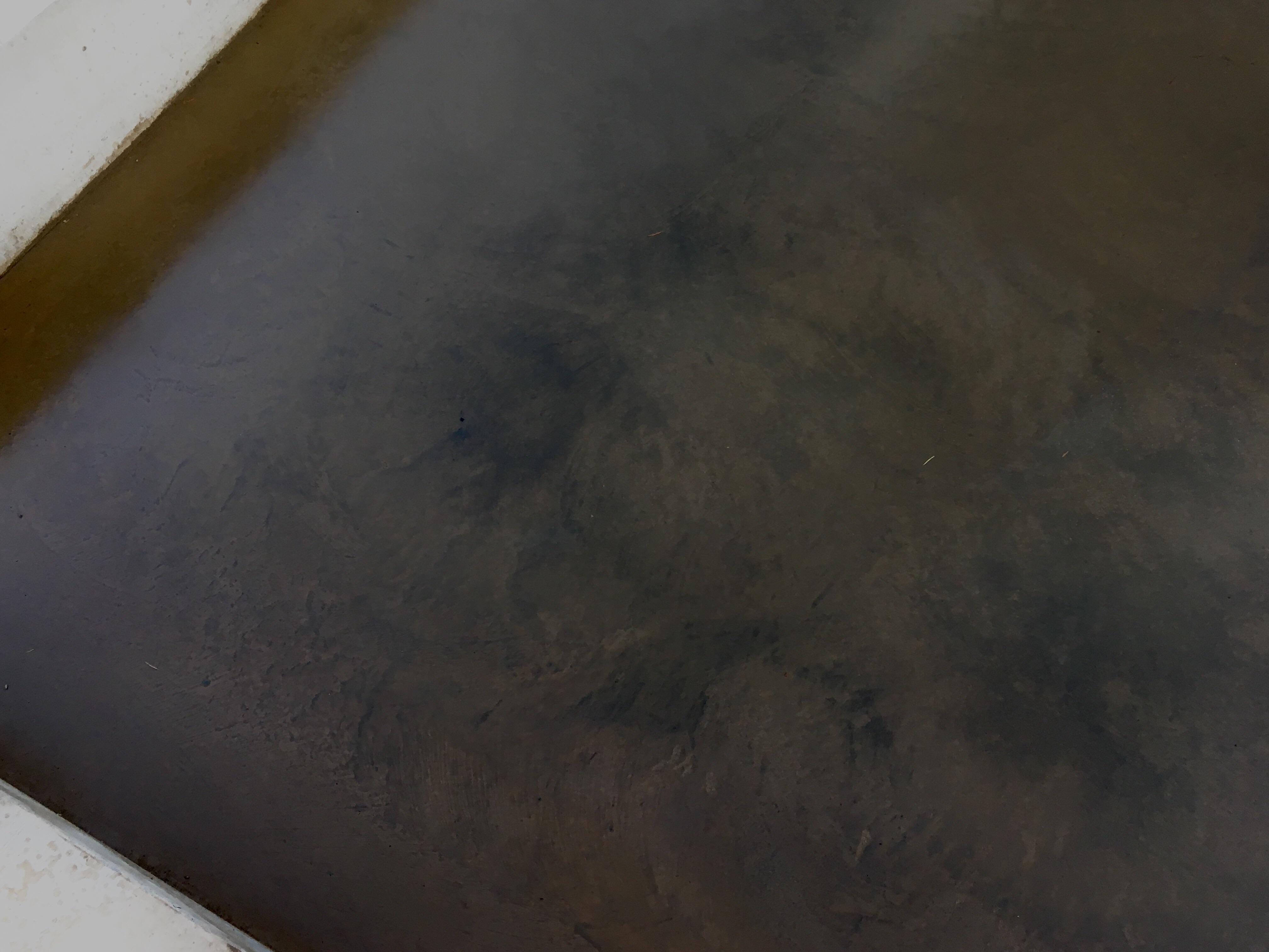 What burned (or “burnished” for the beginner) concrete can look like