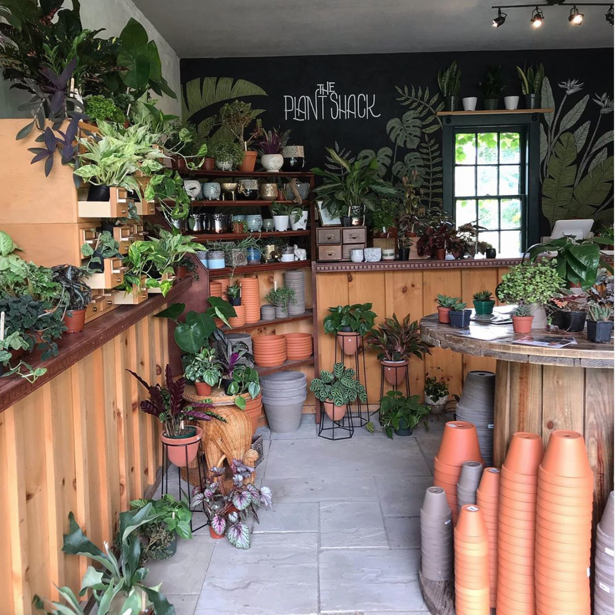 New Shop Alert! The Plant Shack (Buffalo NY) r/UBreddit