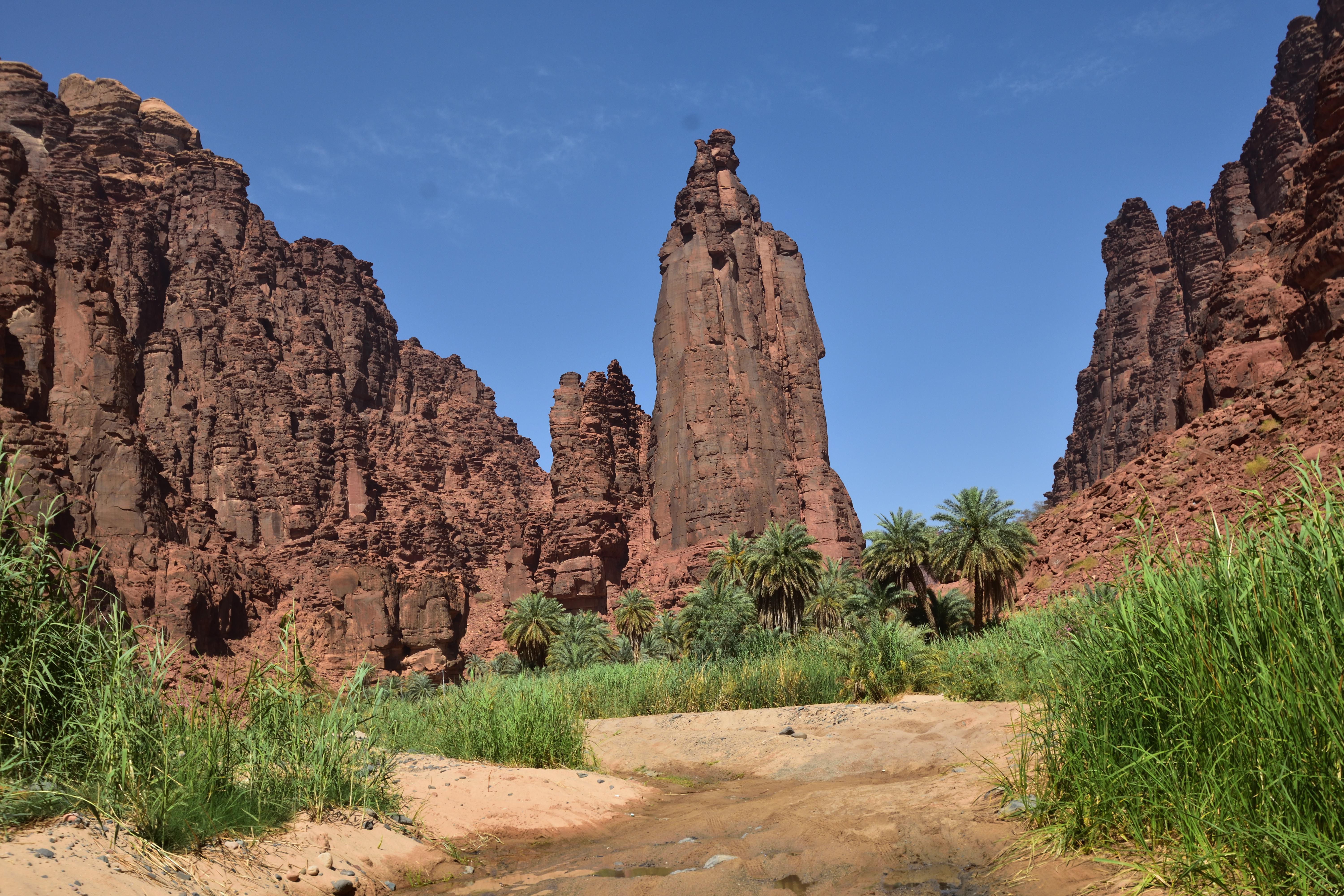 Dessah Valley , Tabuk , Saudi Arabia [OC][6000x4000] EarthPorn