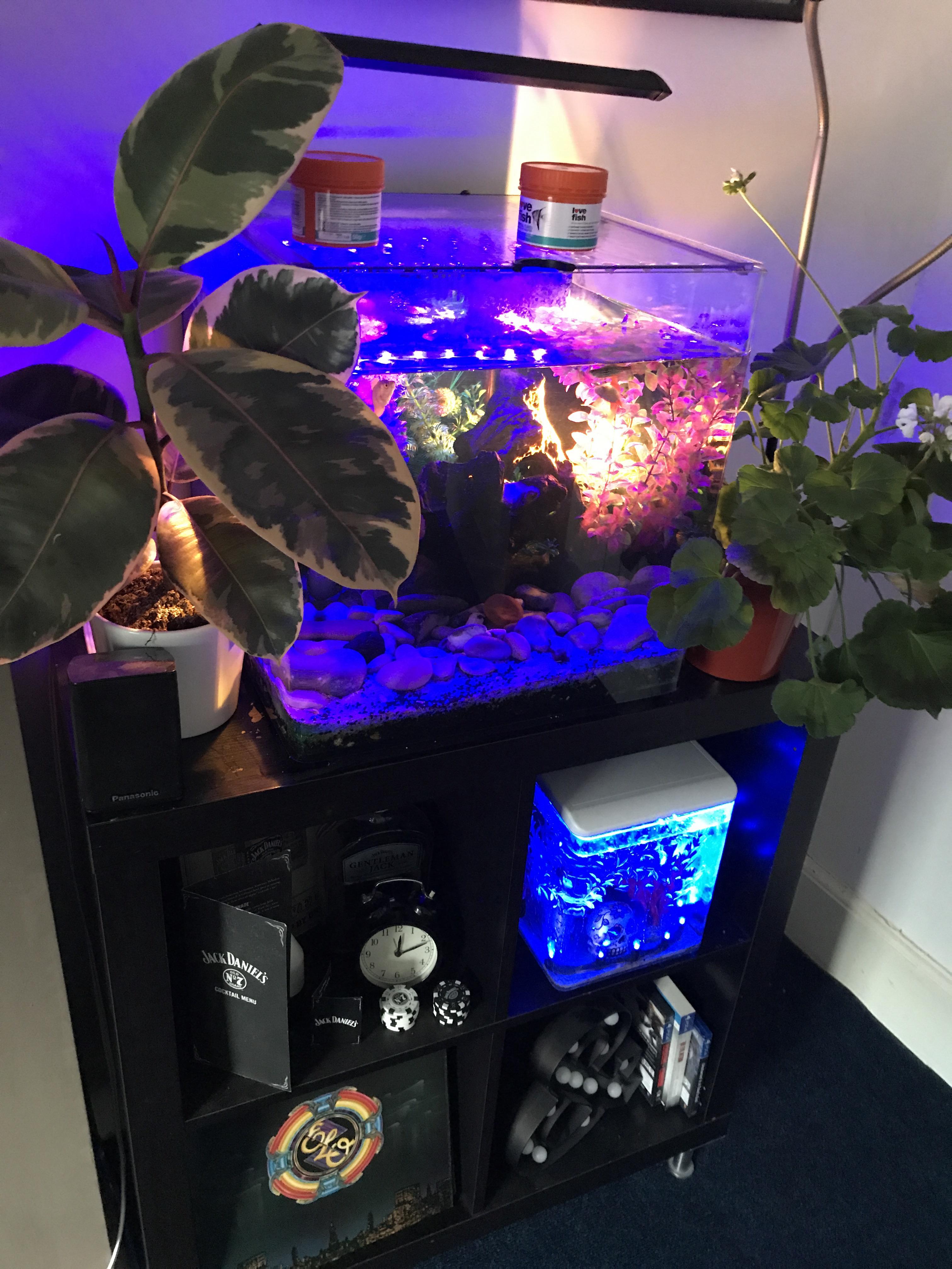 I love blue LED lights for tanks! r/Aquariums