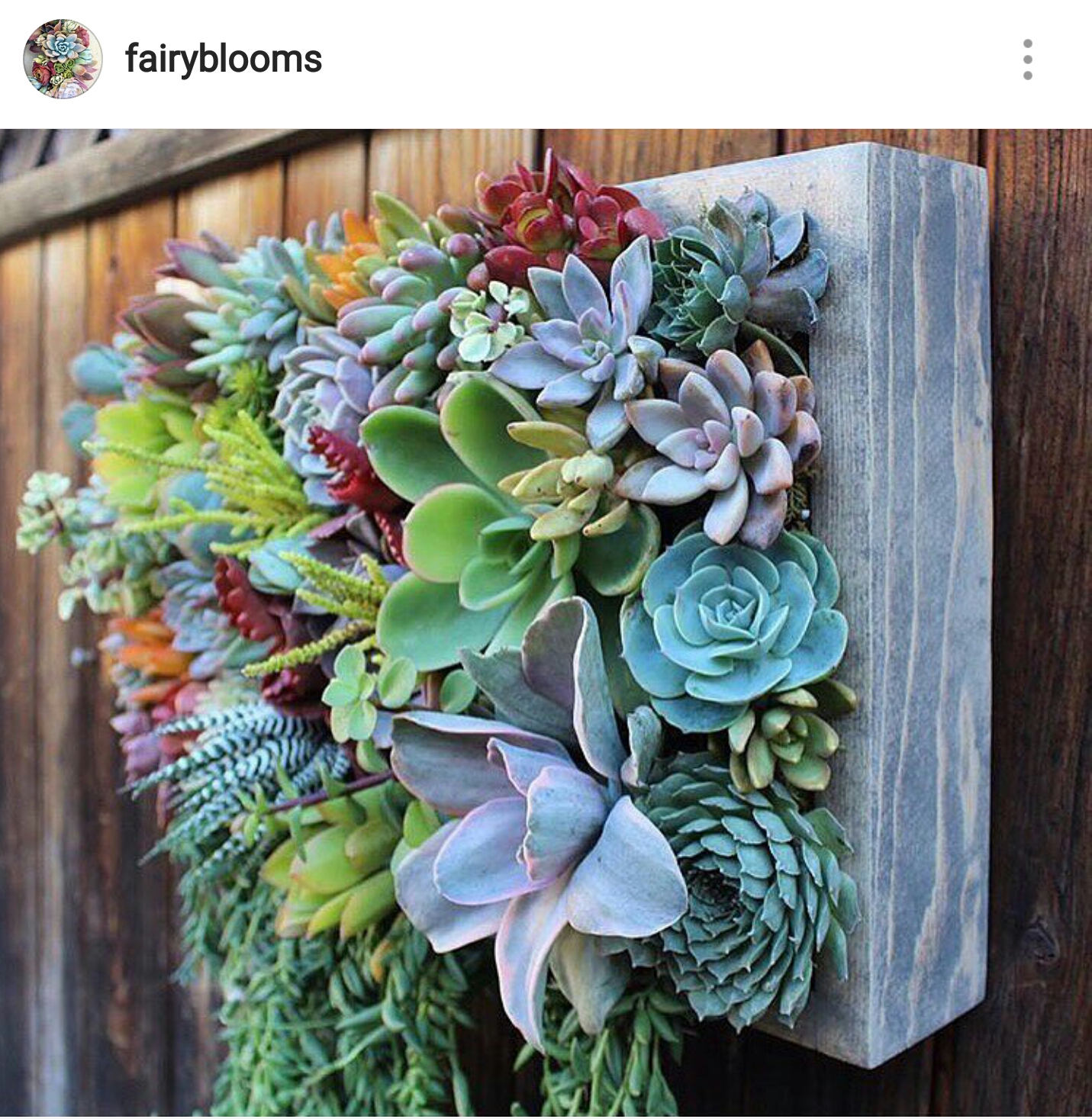 Anyone grow their succulents vertically? Do they do just as well as the