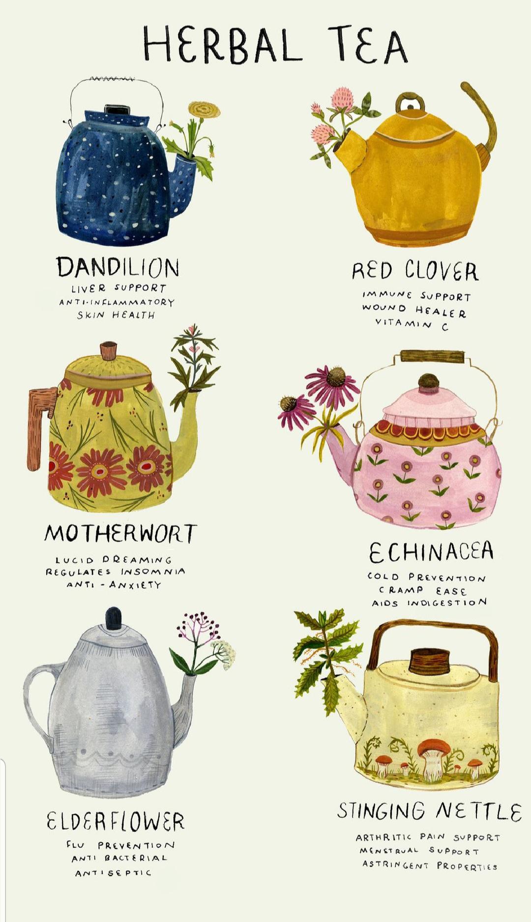 A guide to Herbal Teas r/coolguides