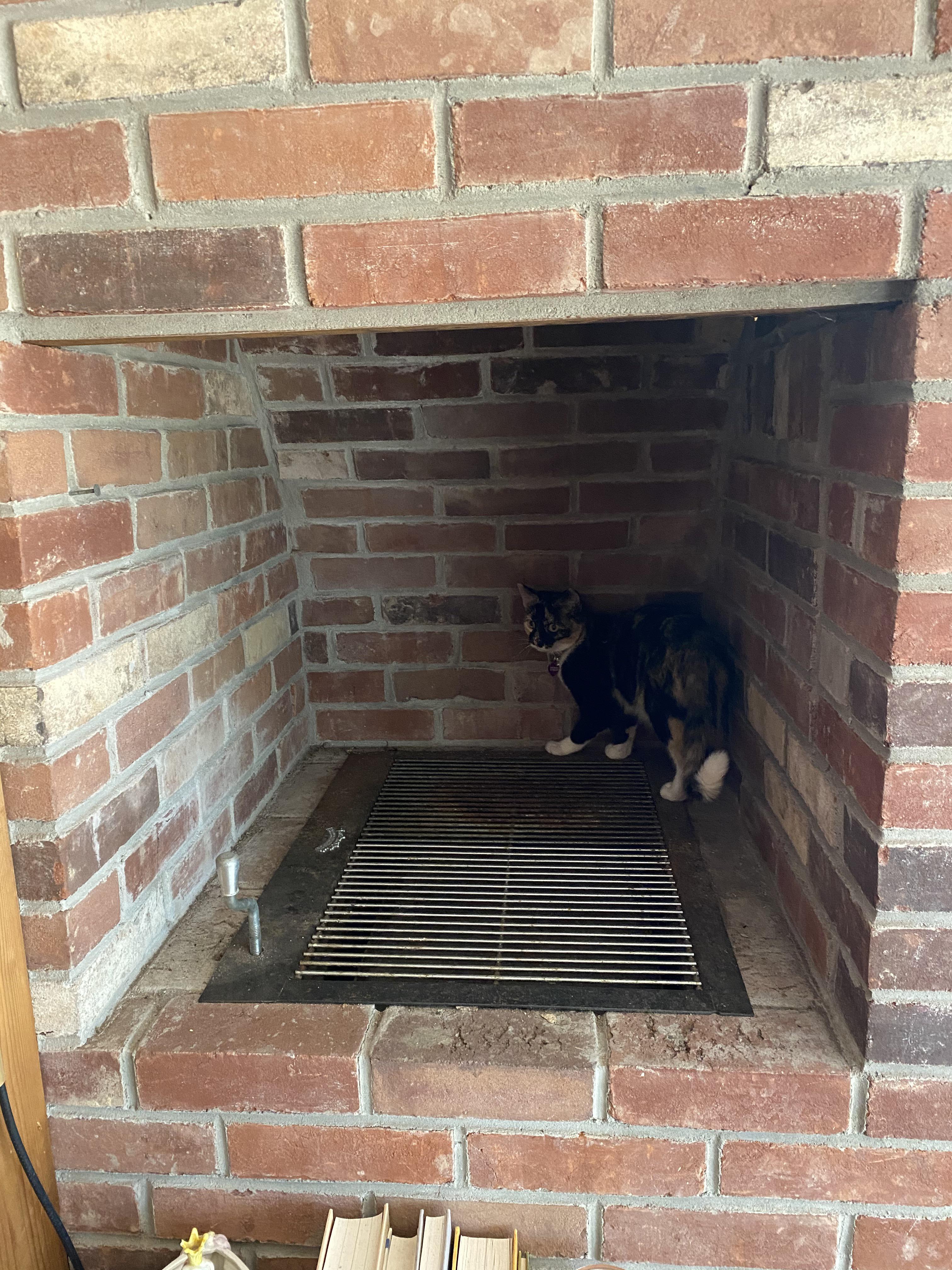 Our fireplace has a built in indoor grill. r/mildlyinteresting
