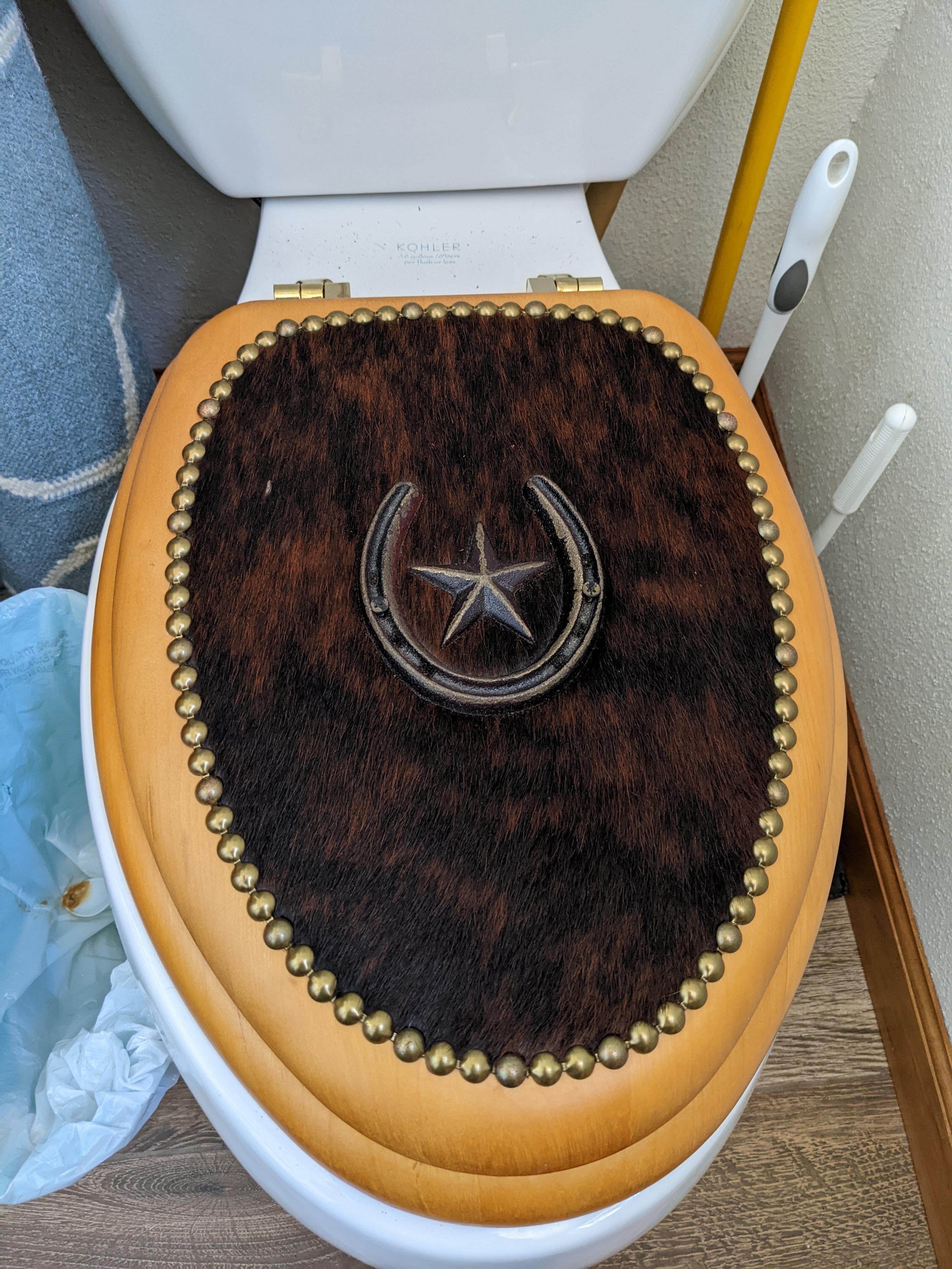 Cow (?) fur and wood toilet seat r/WeirdToilets